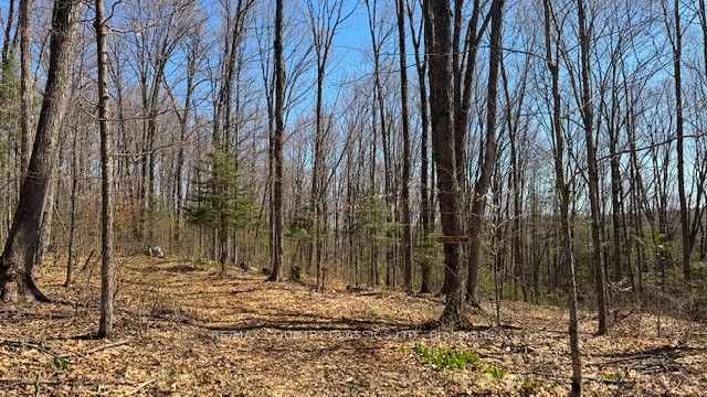 5192 Hwy 620 Property Photo 20