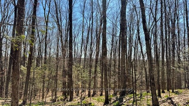 5192 Hwy 620 Property Photo 21