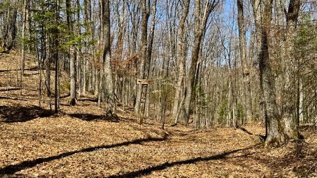 5192 Hwy 620 Property Photo 22