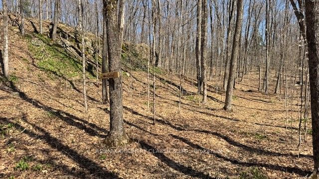 5192 Hwy 620 Property Photo 23