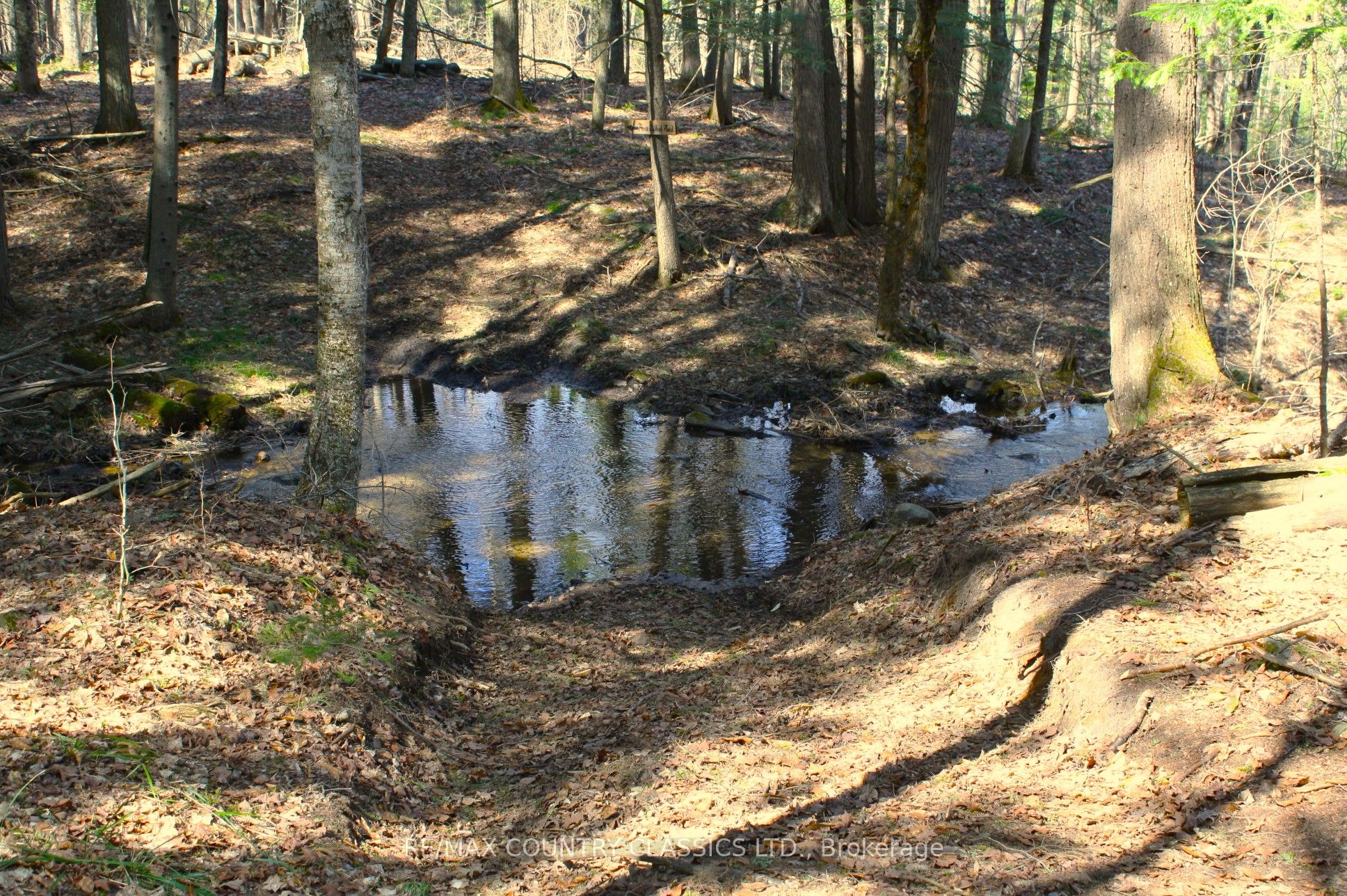 5192 Hwy 620 Property Photo 24