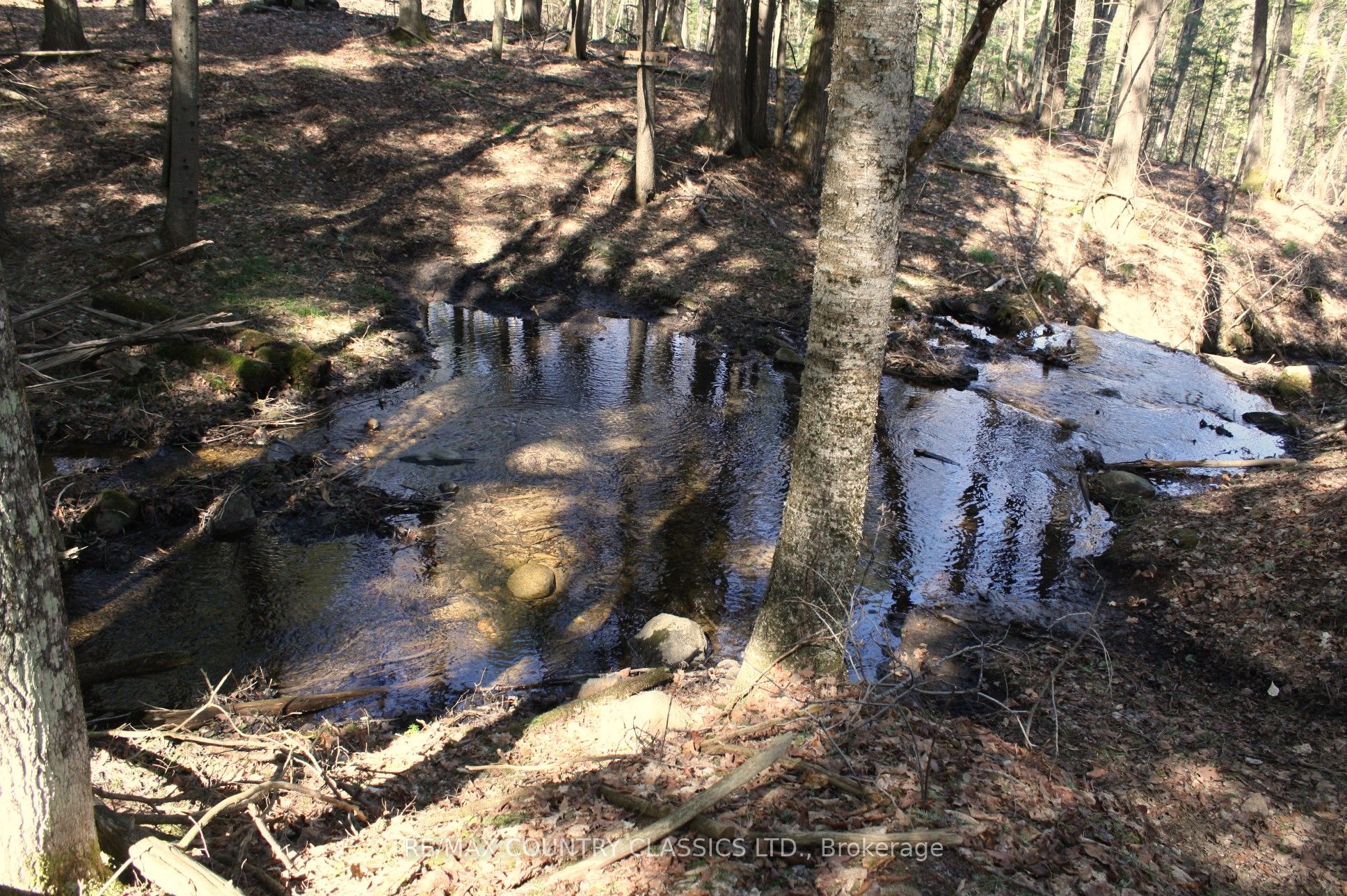 5192 Hwy 620 Property Photo 25