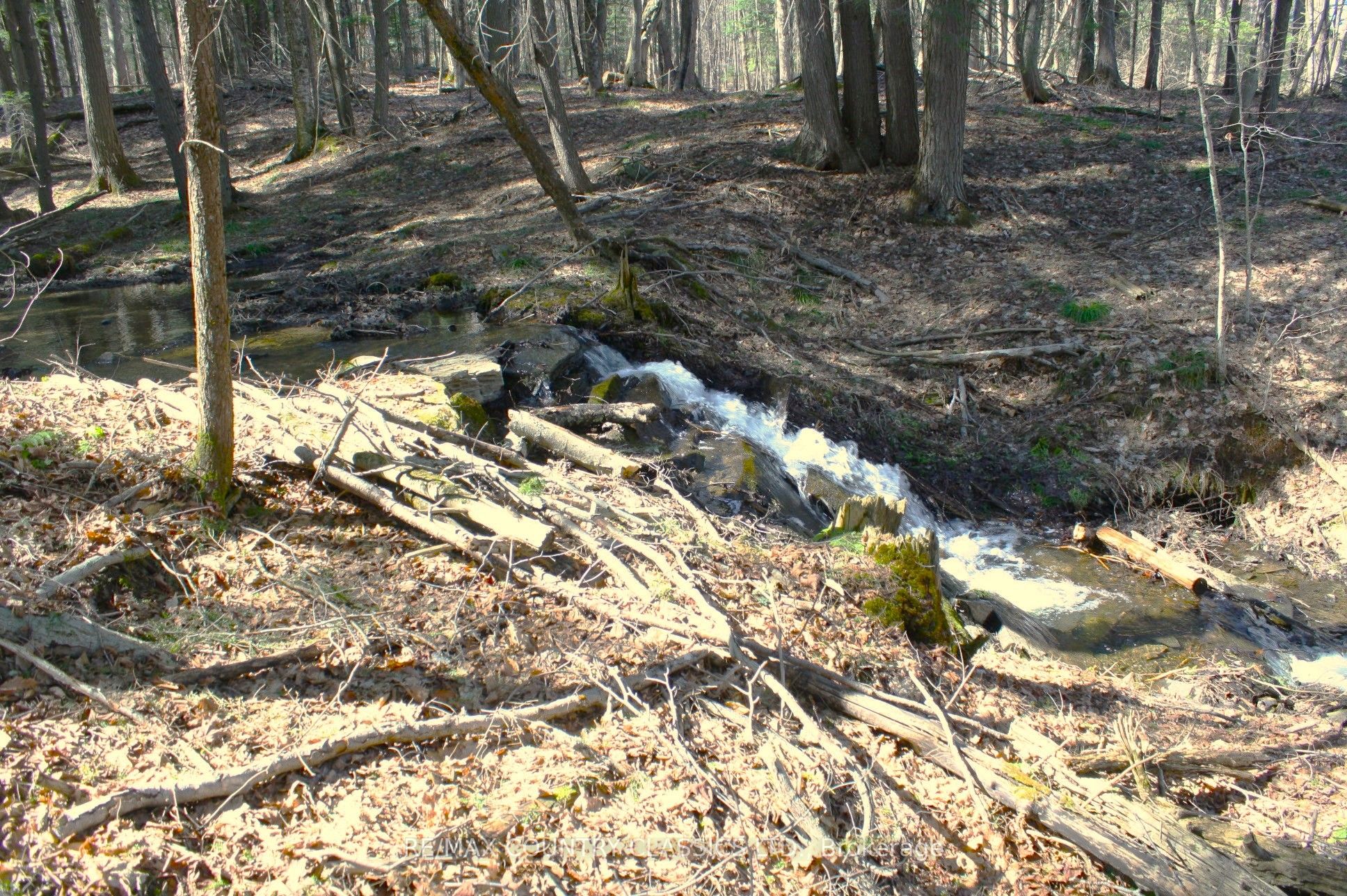 5192 Hwy 620 Property Photo 26