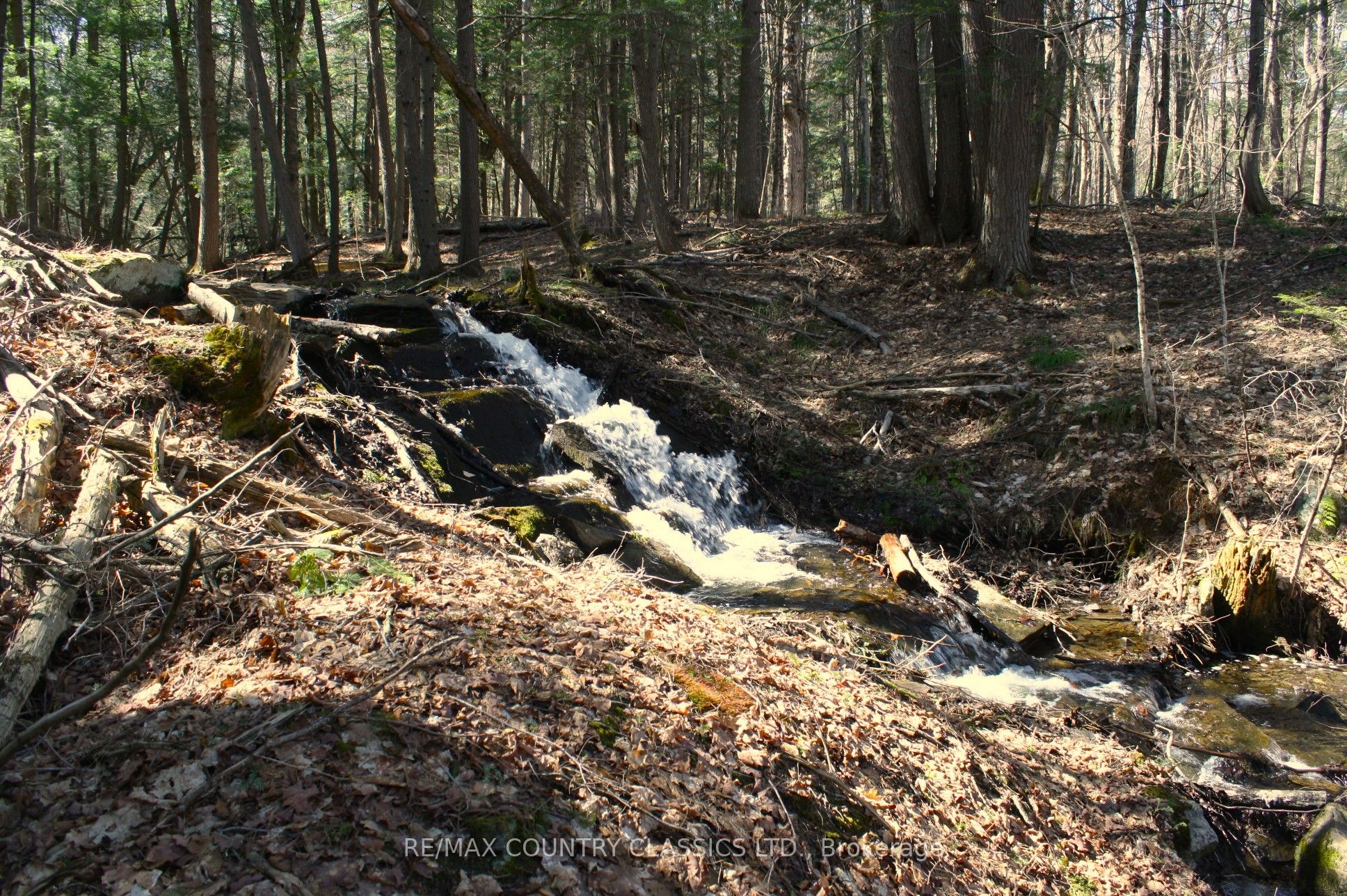 5192 Hwy 620 Property Photo 27