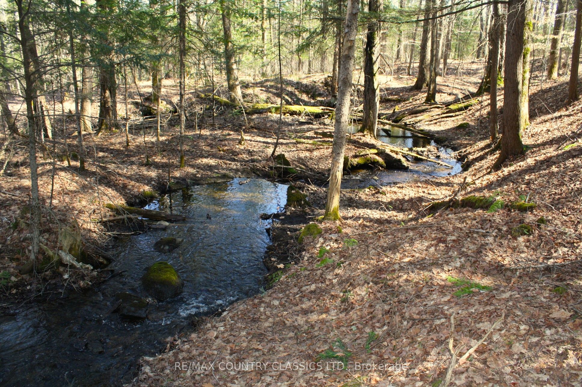 5192 Hwy 620 Property Photo 28