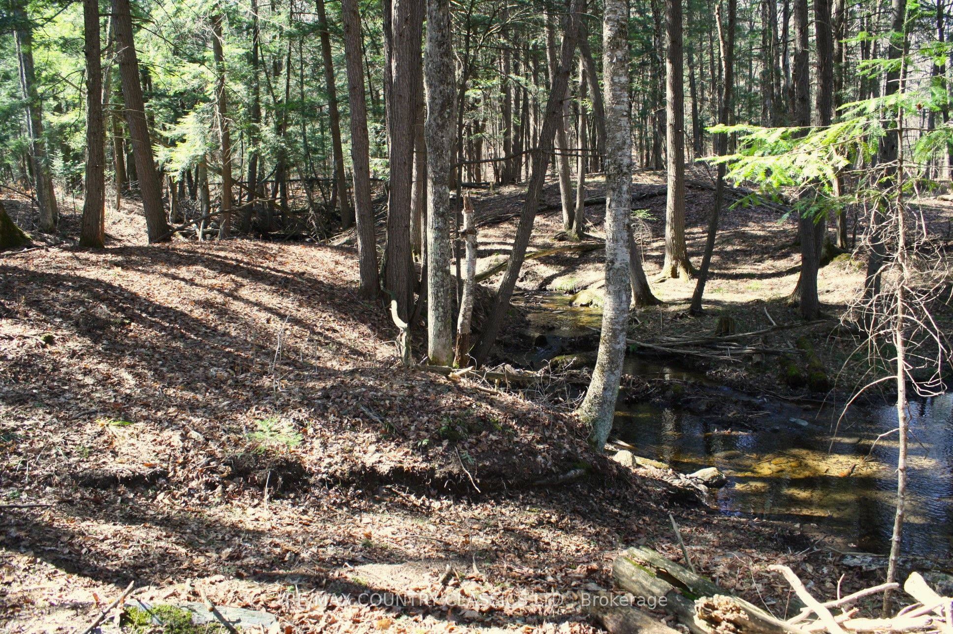 5192 Hwy 620 Property Photo 34