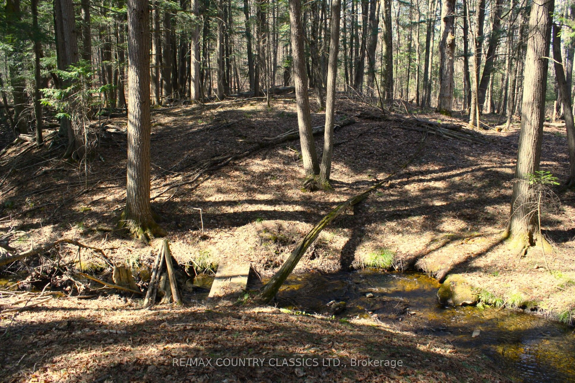 5192 Hwy 620 Property Photo 35