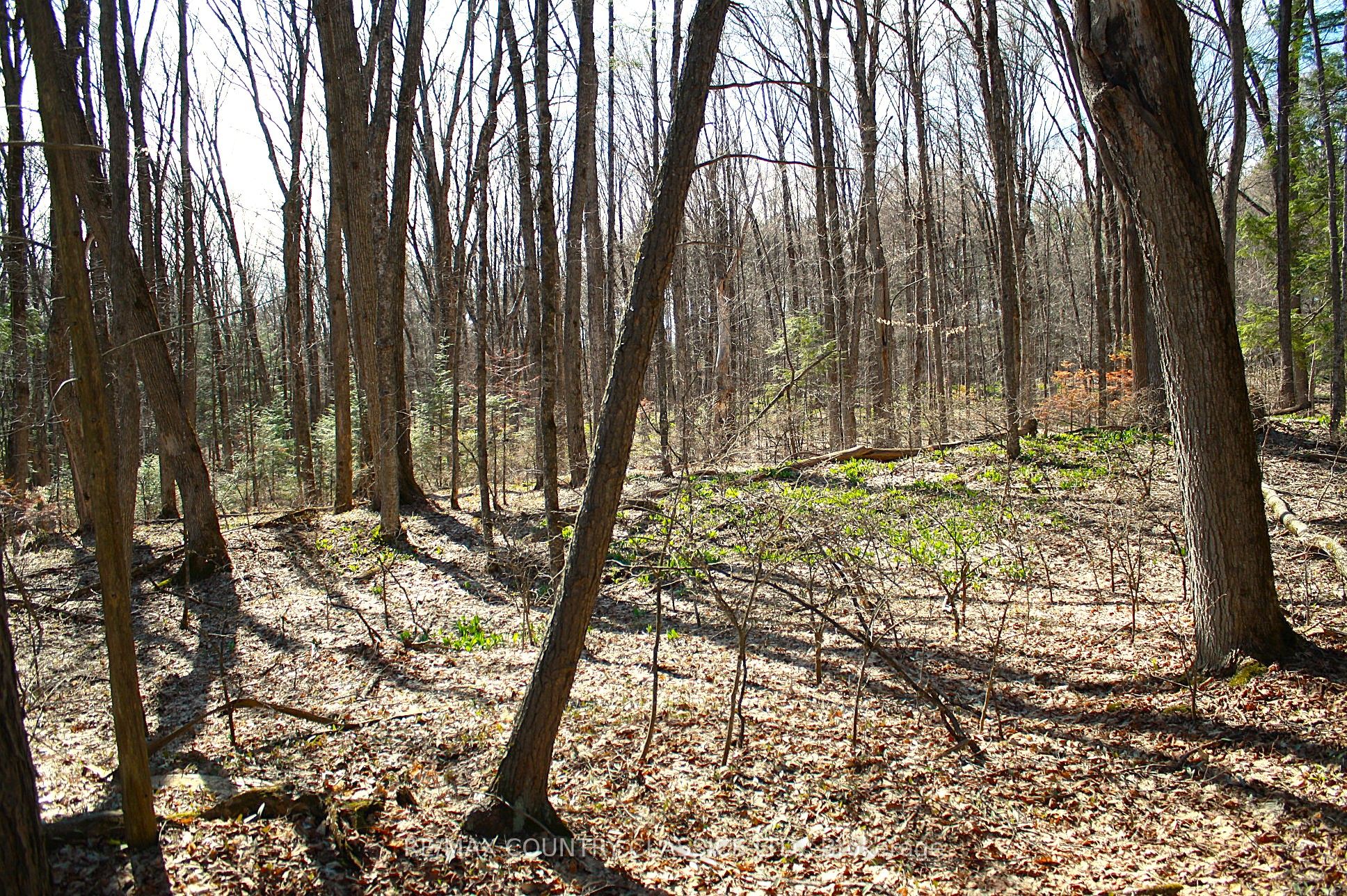 5192 Hwy 620 Property Photo 38