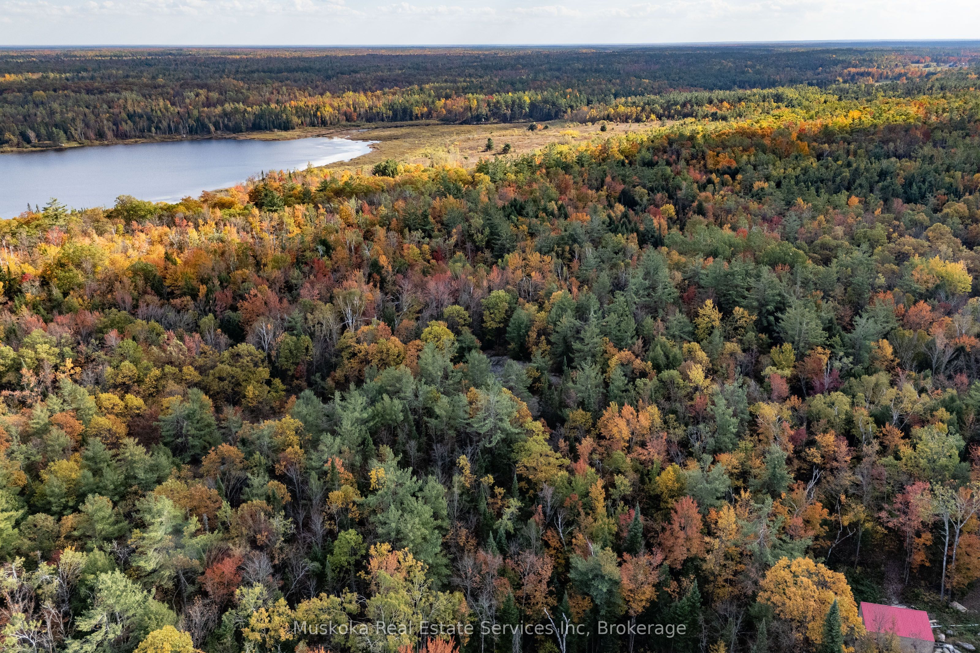 1088 Merkley Road Property Photo 19