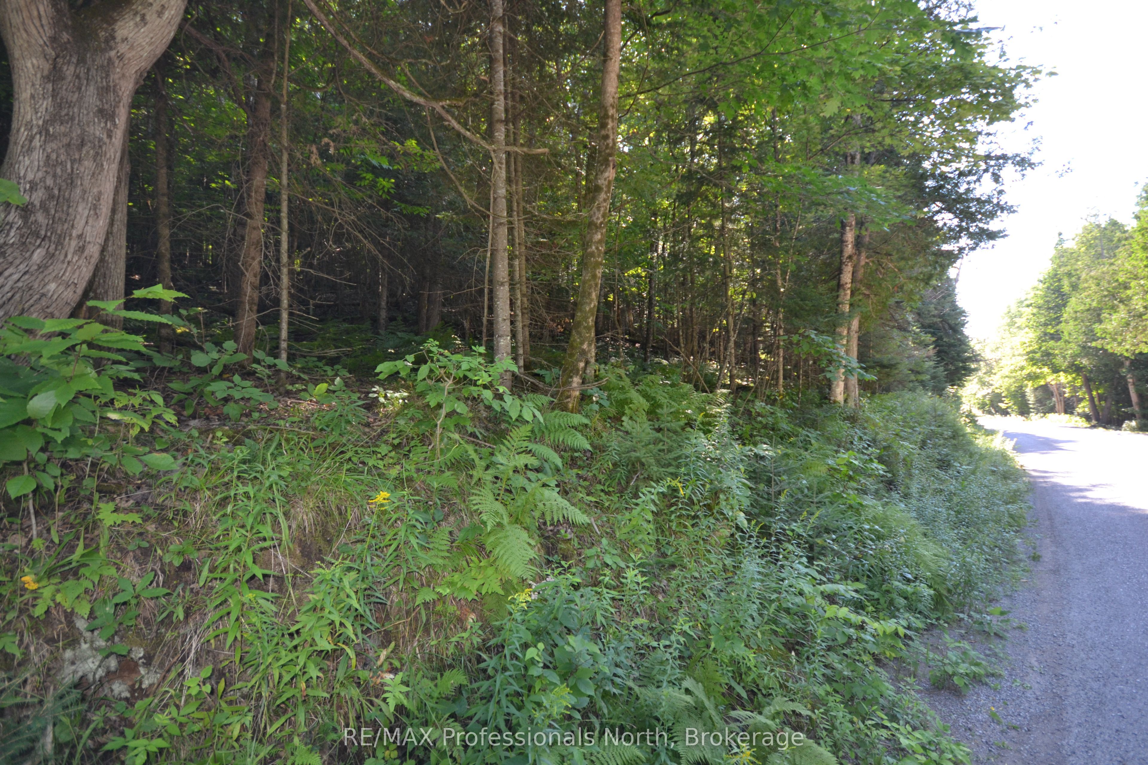 0 Fred Jones Road Property Photo 9