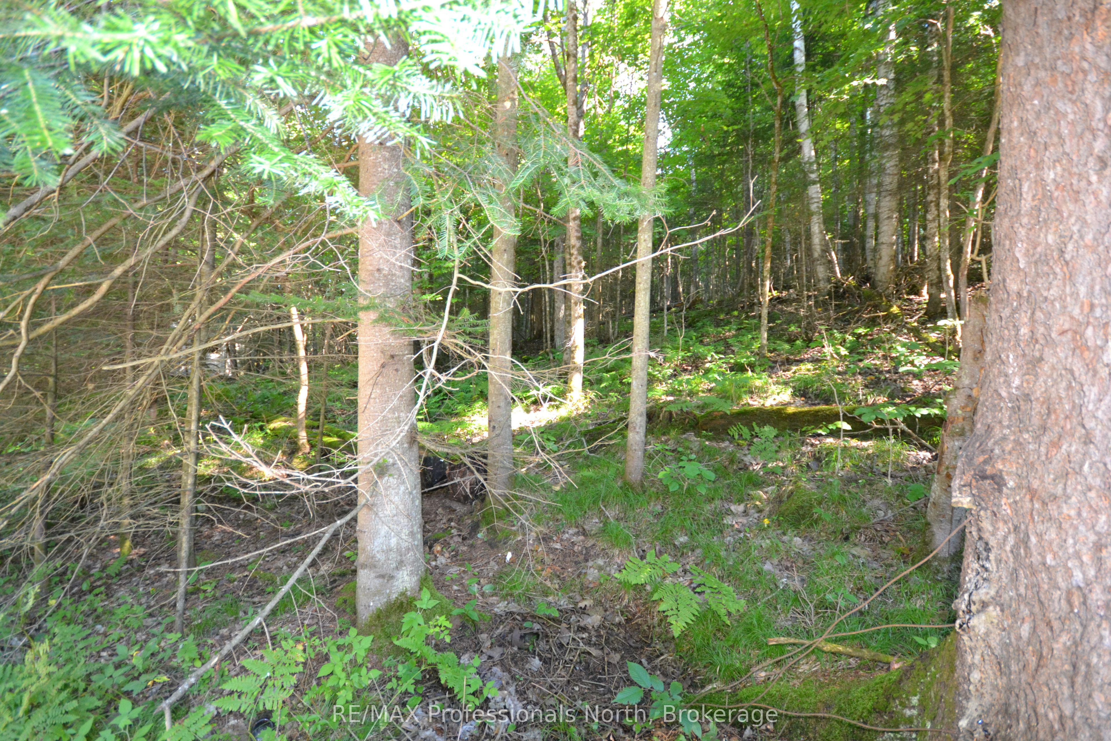 0 Fred Jones Road Property Photo 17