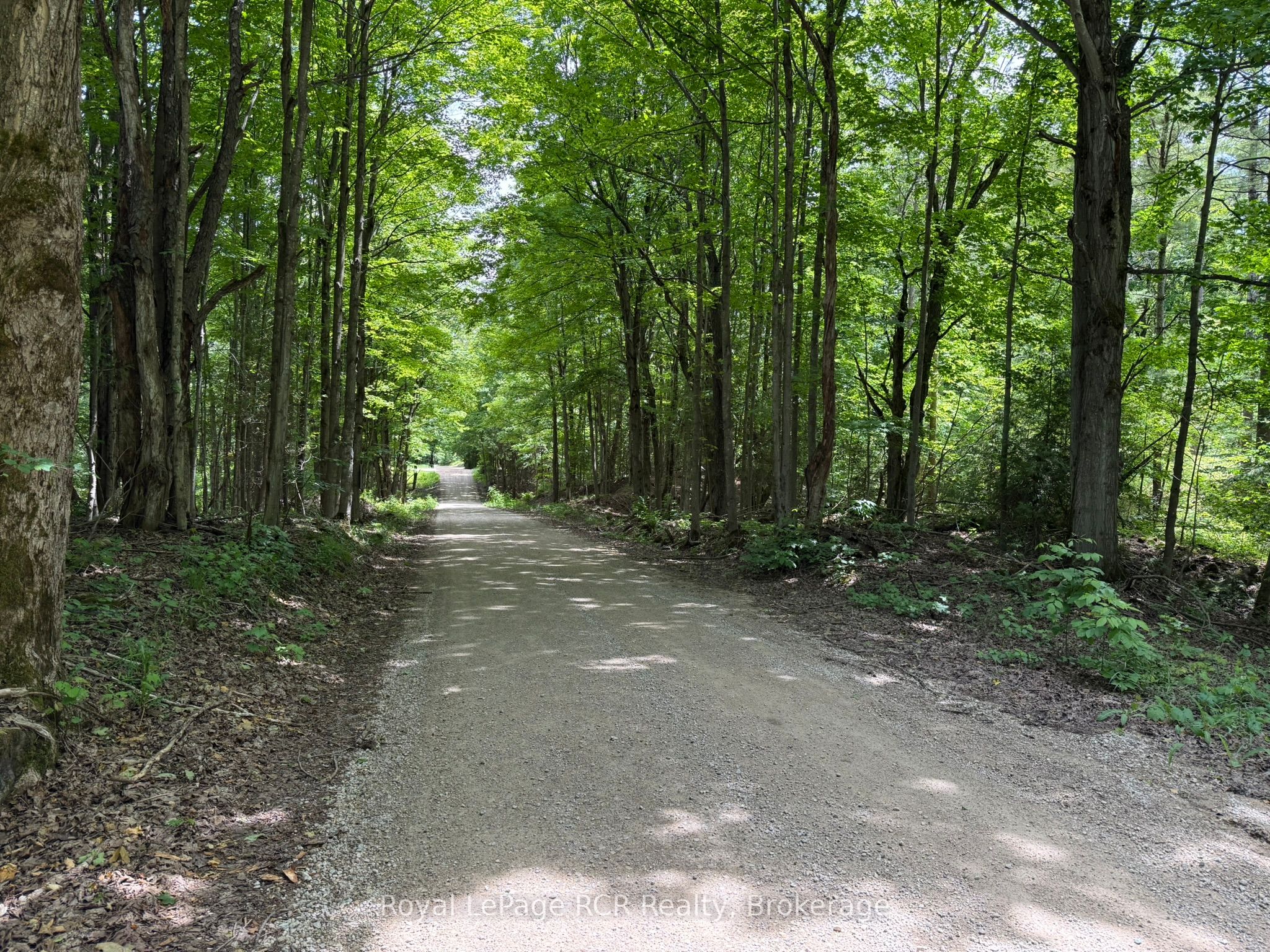 Lot 53/54 West Back Line Property Photo 12