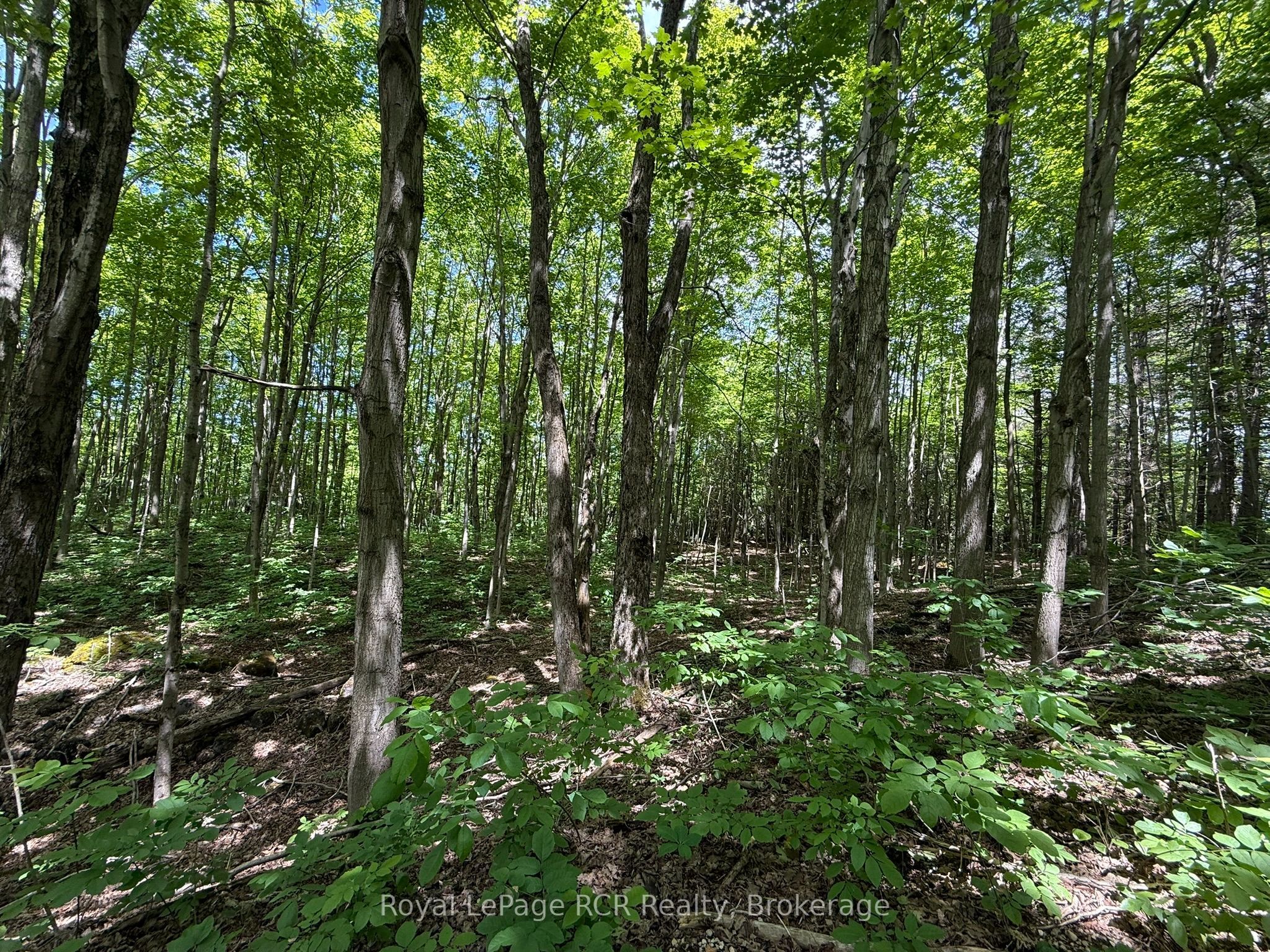 Lot 53/54 West Back Line Property Photo 19