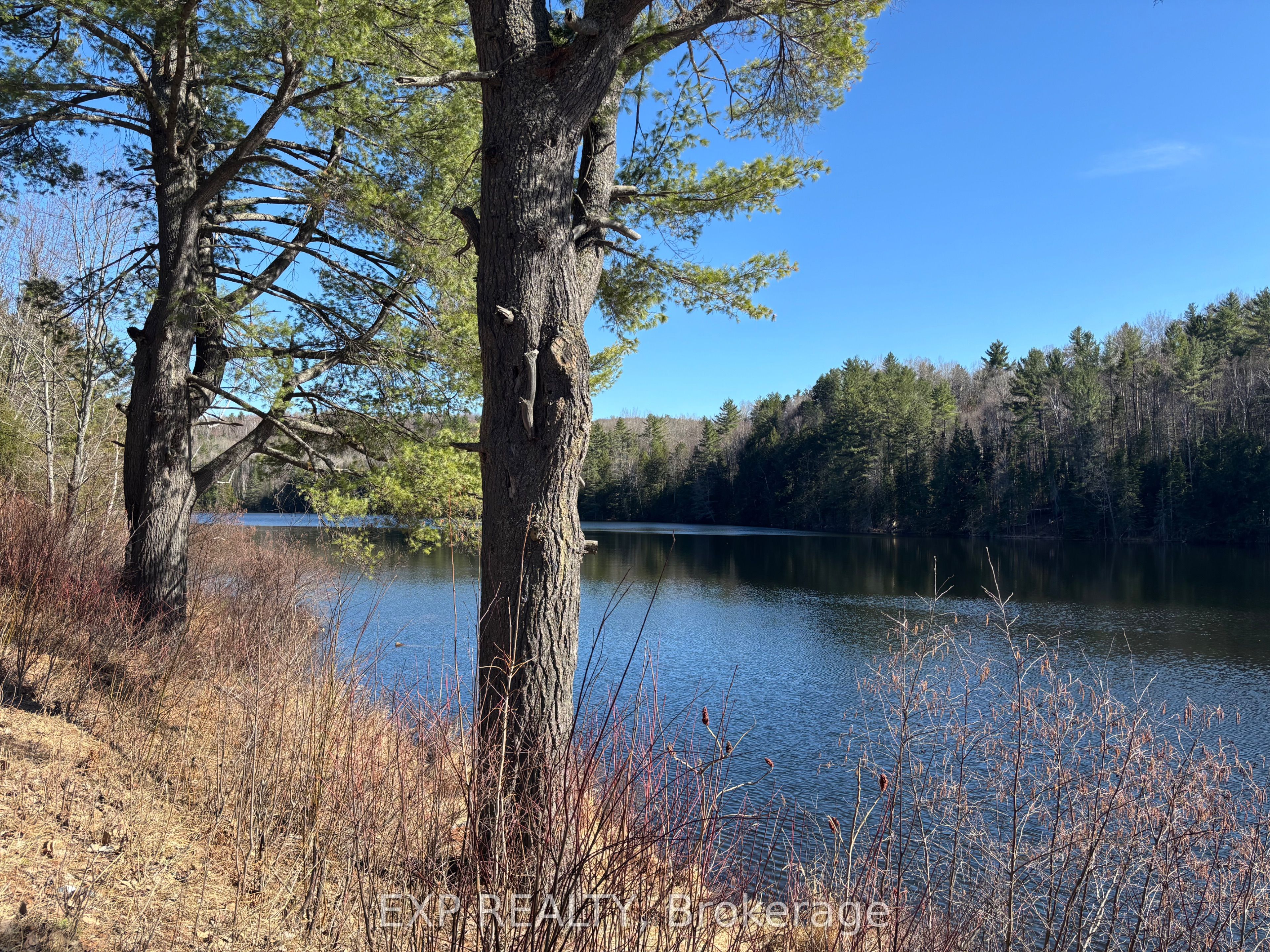 000 Opeongo Road Property Photo 1
