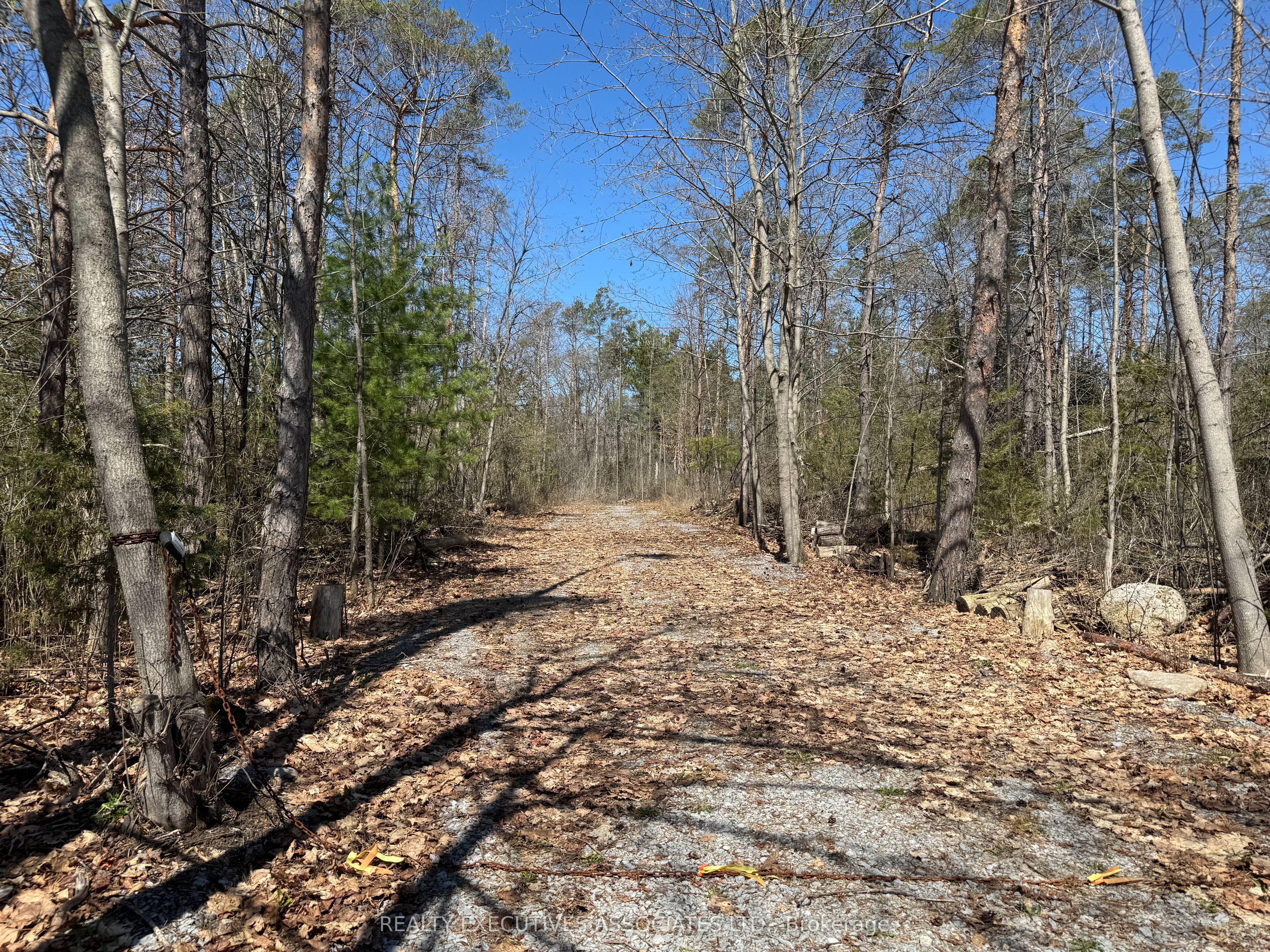 6192 County Rd 50 Property Photo 1