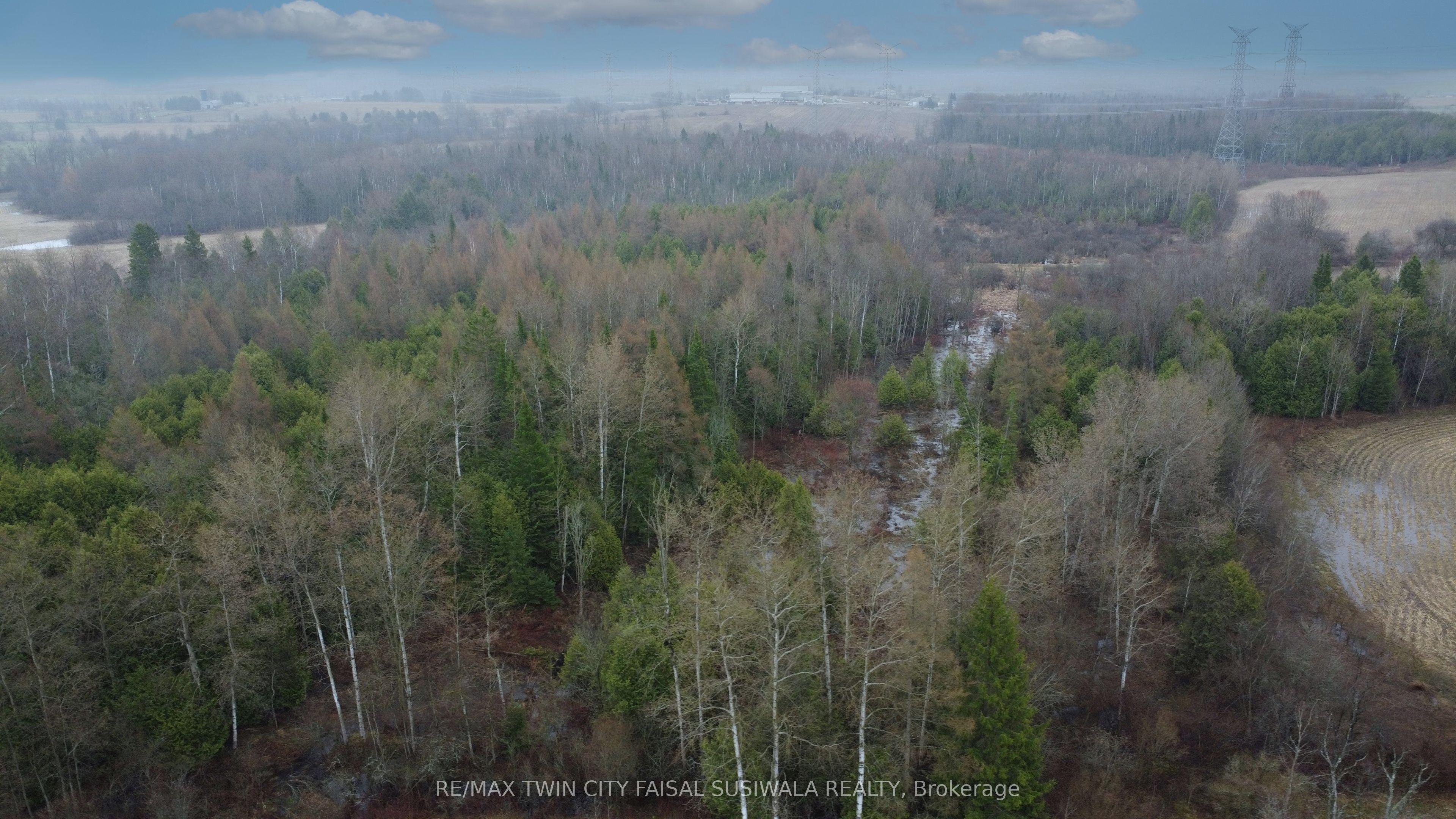 5489 Fourth Line Property Photo 4