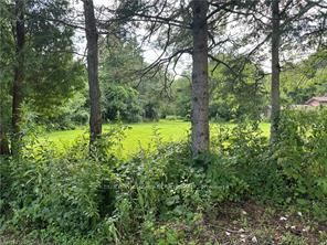 1161 Edgewood Road Property Photo 1