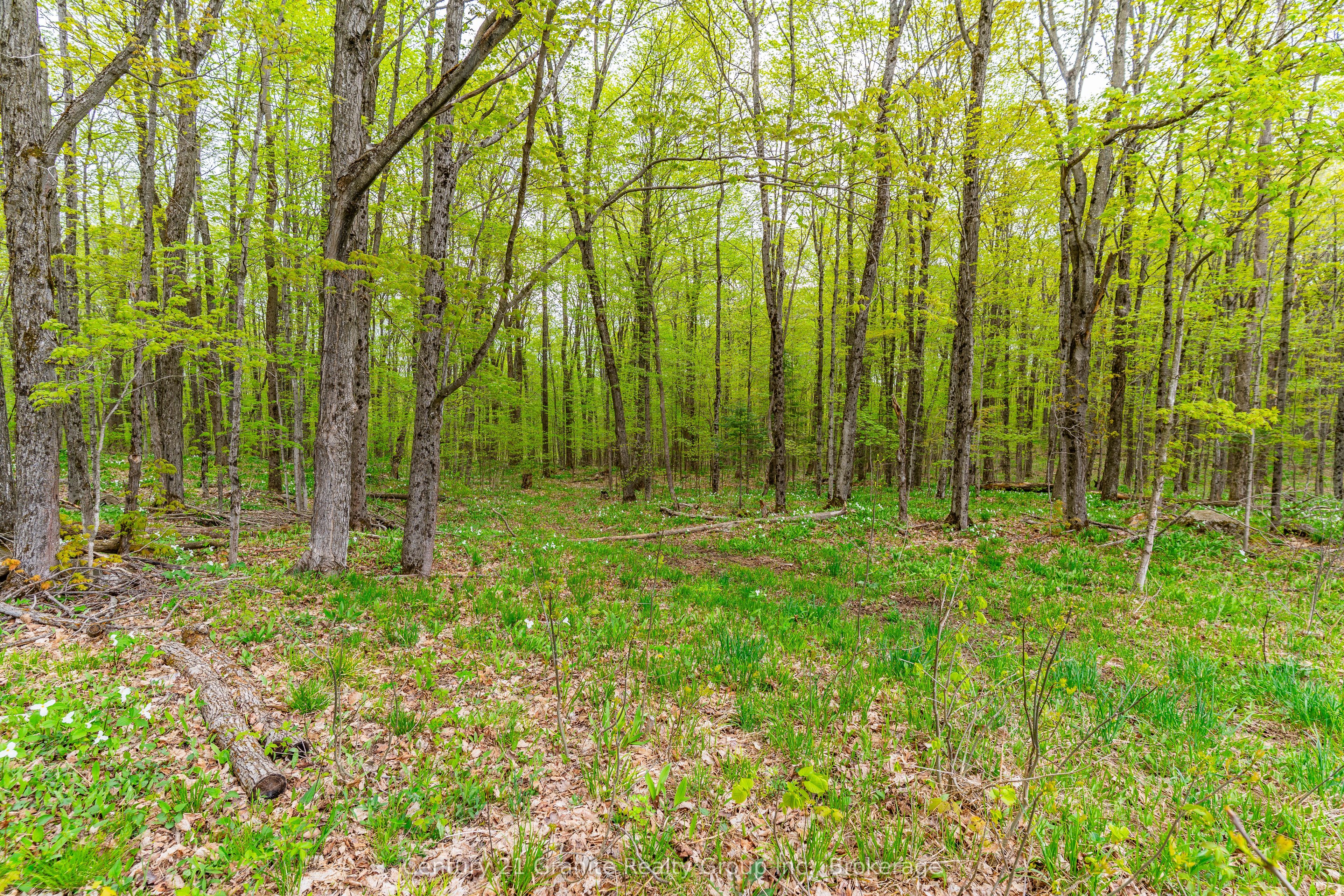 9734 Highway 118 W Property Photo 25