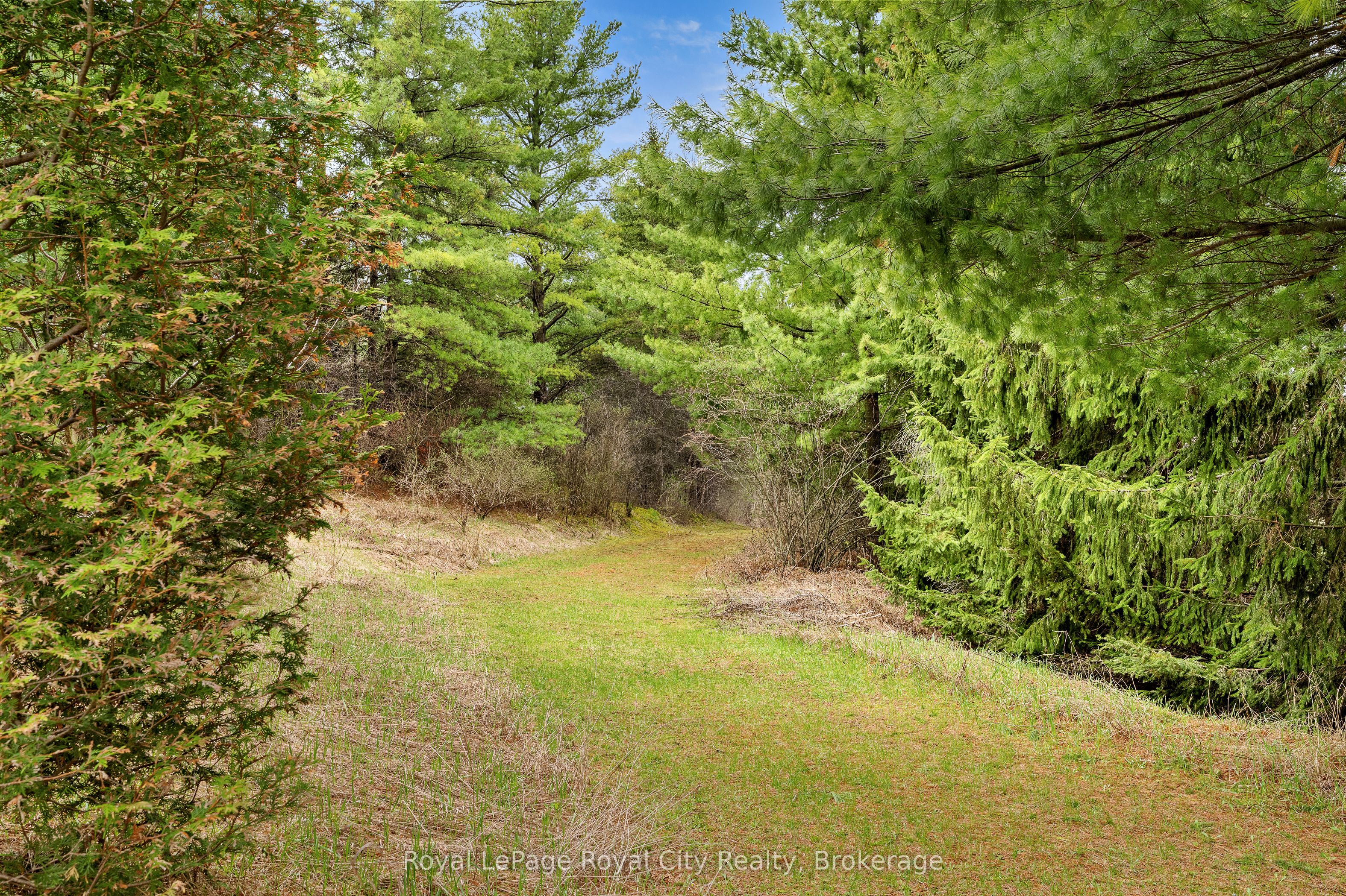 4620 20 Side Road N Property Photo 45