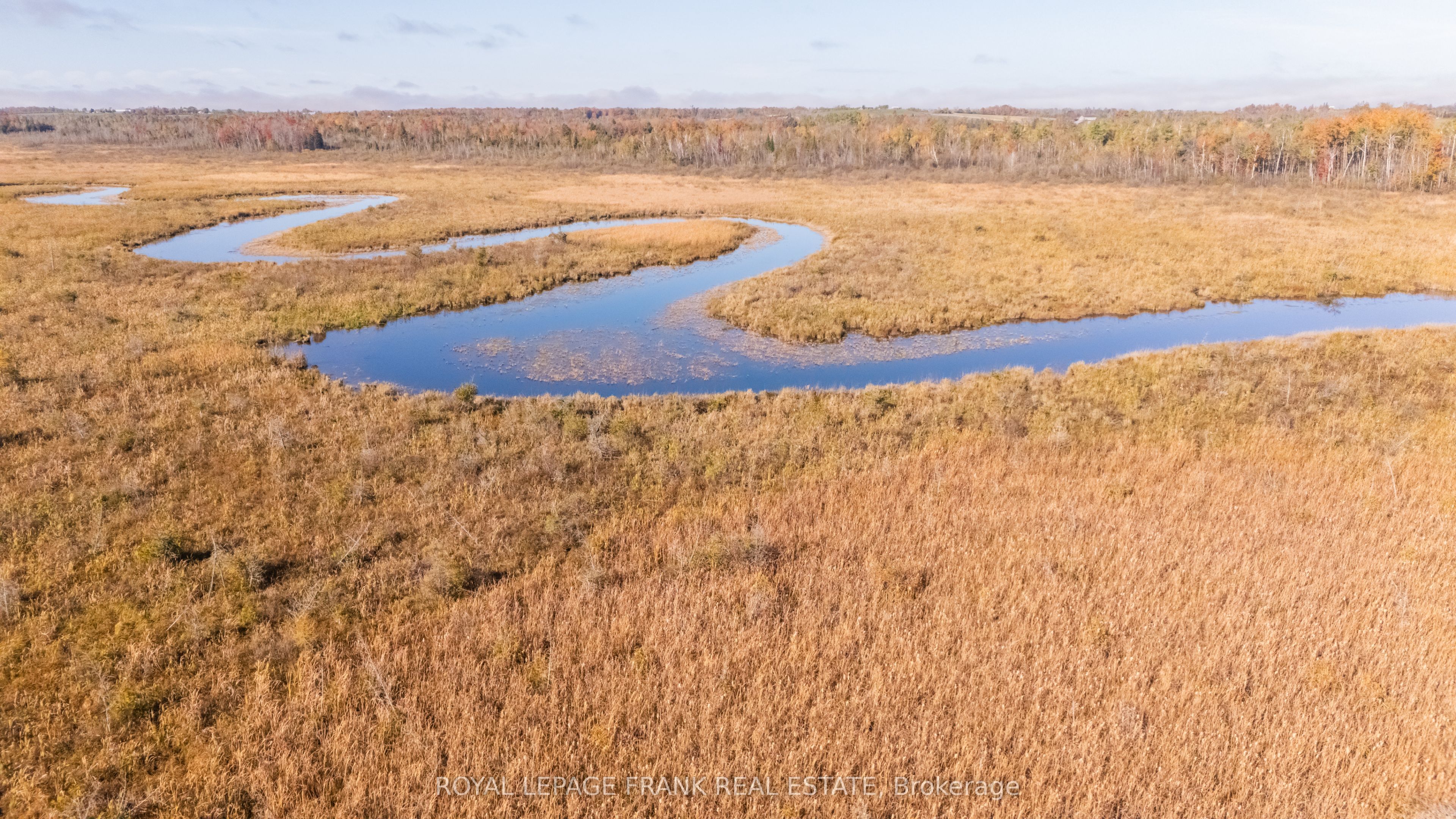 740 Mount Horeb Road Property Photo 7