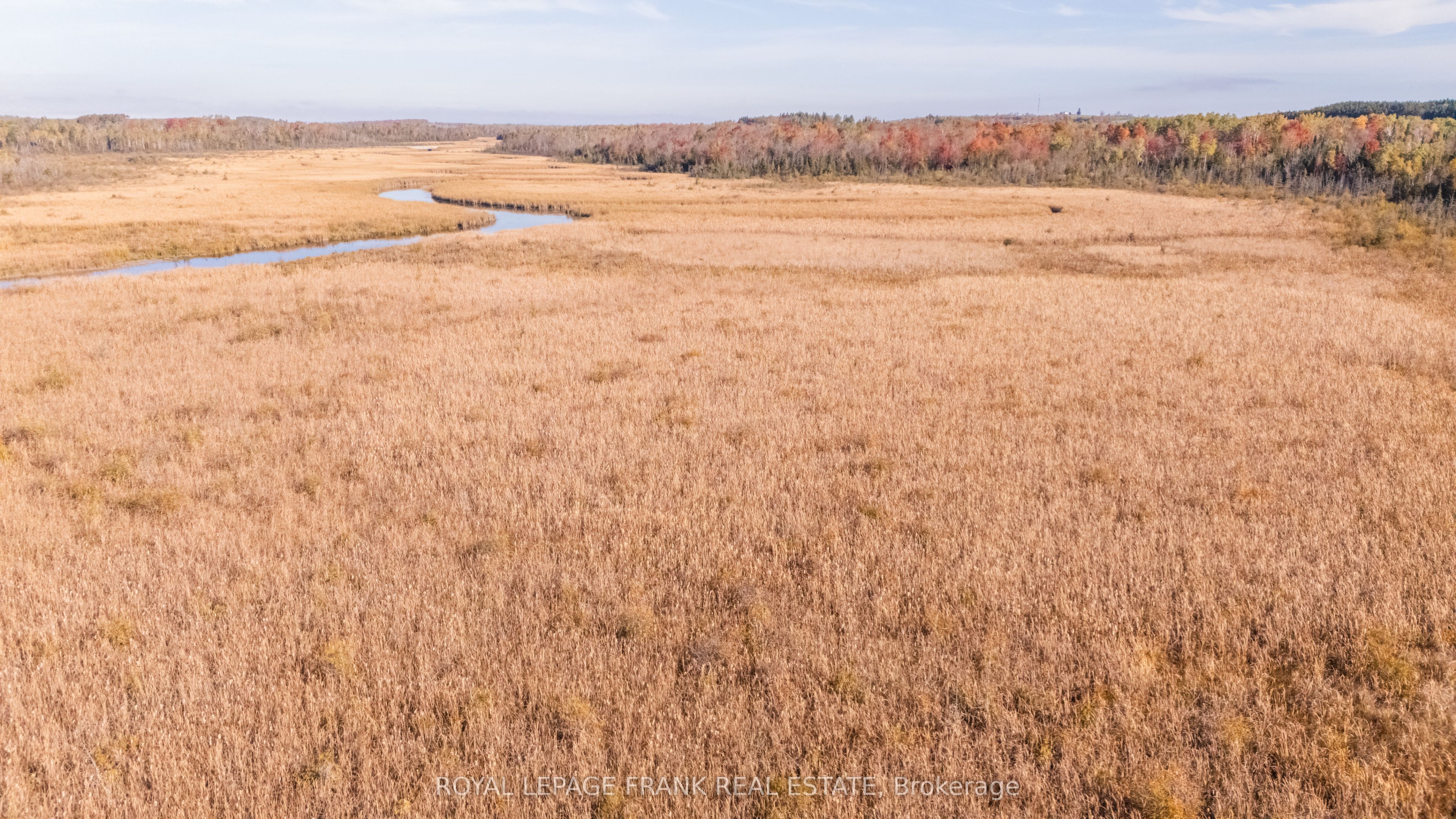 740 Mount Horeb Road Property Photo 8