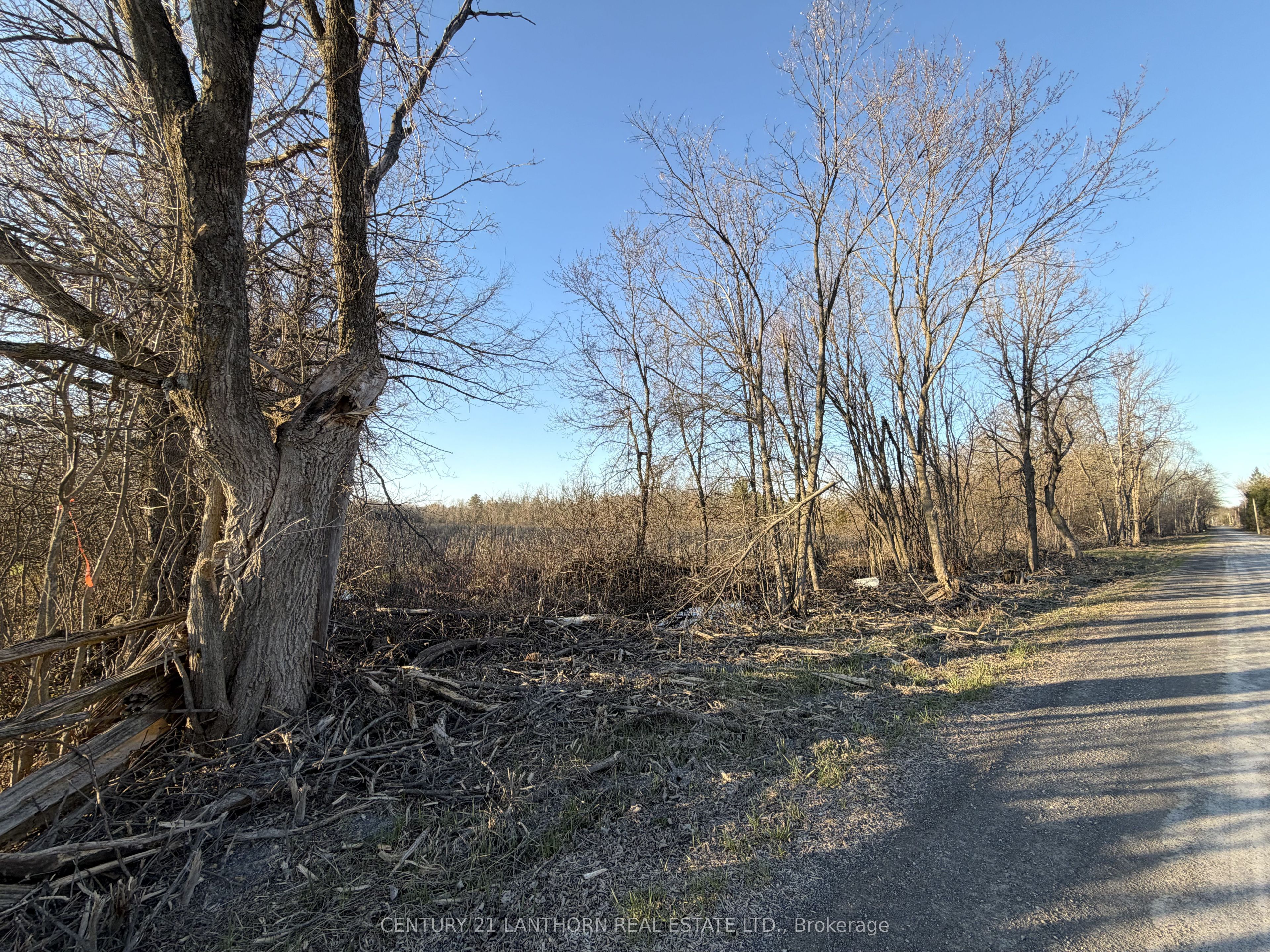 0 Reid Settlement Road Property Photo 4