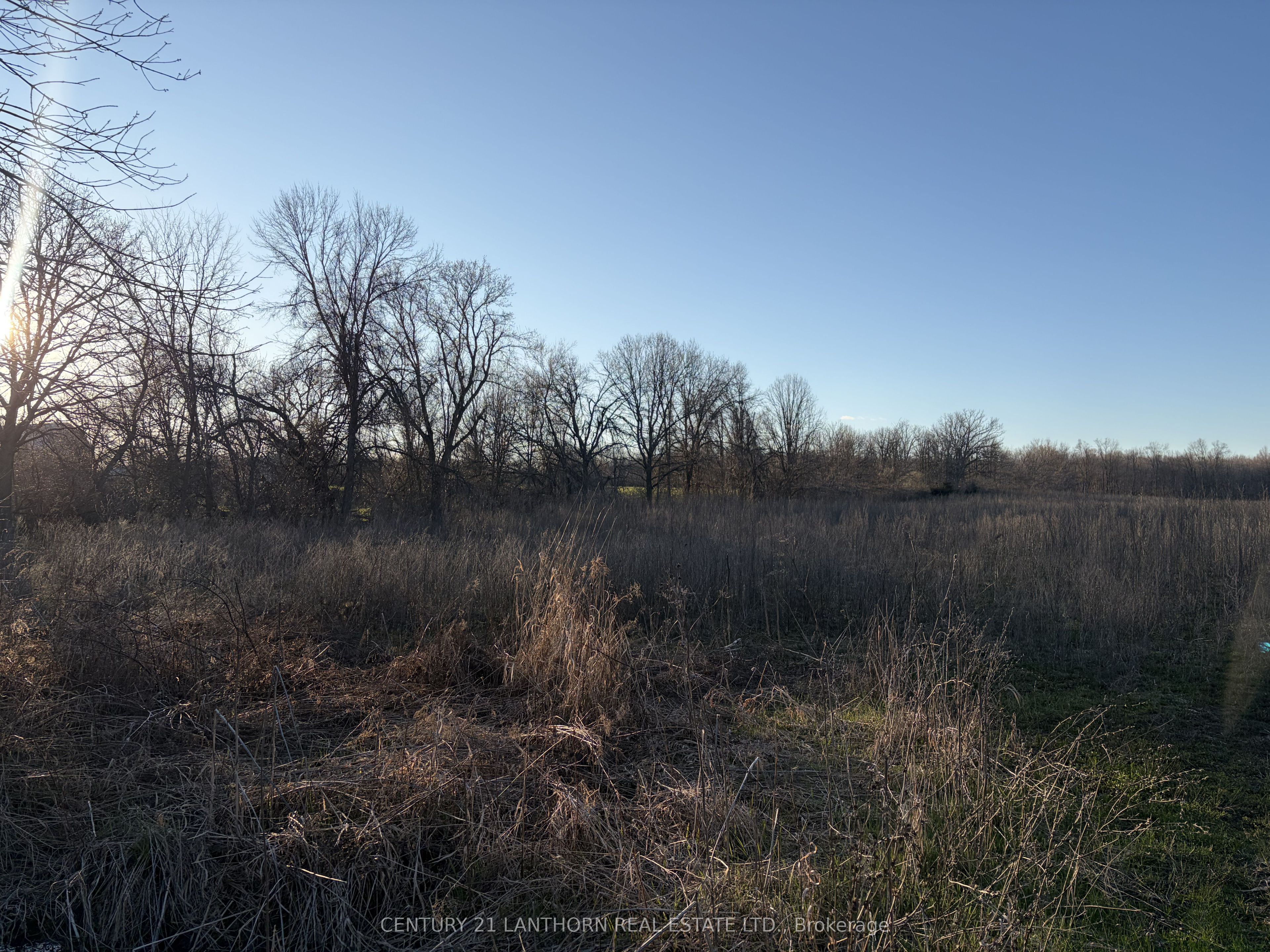 0 Reid Settlement Road Property Photo 5