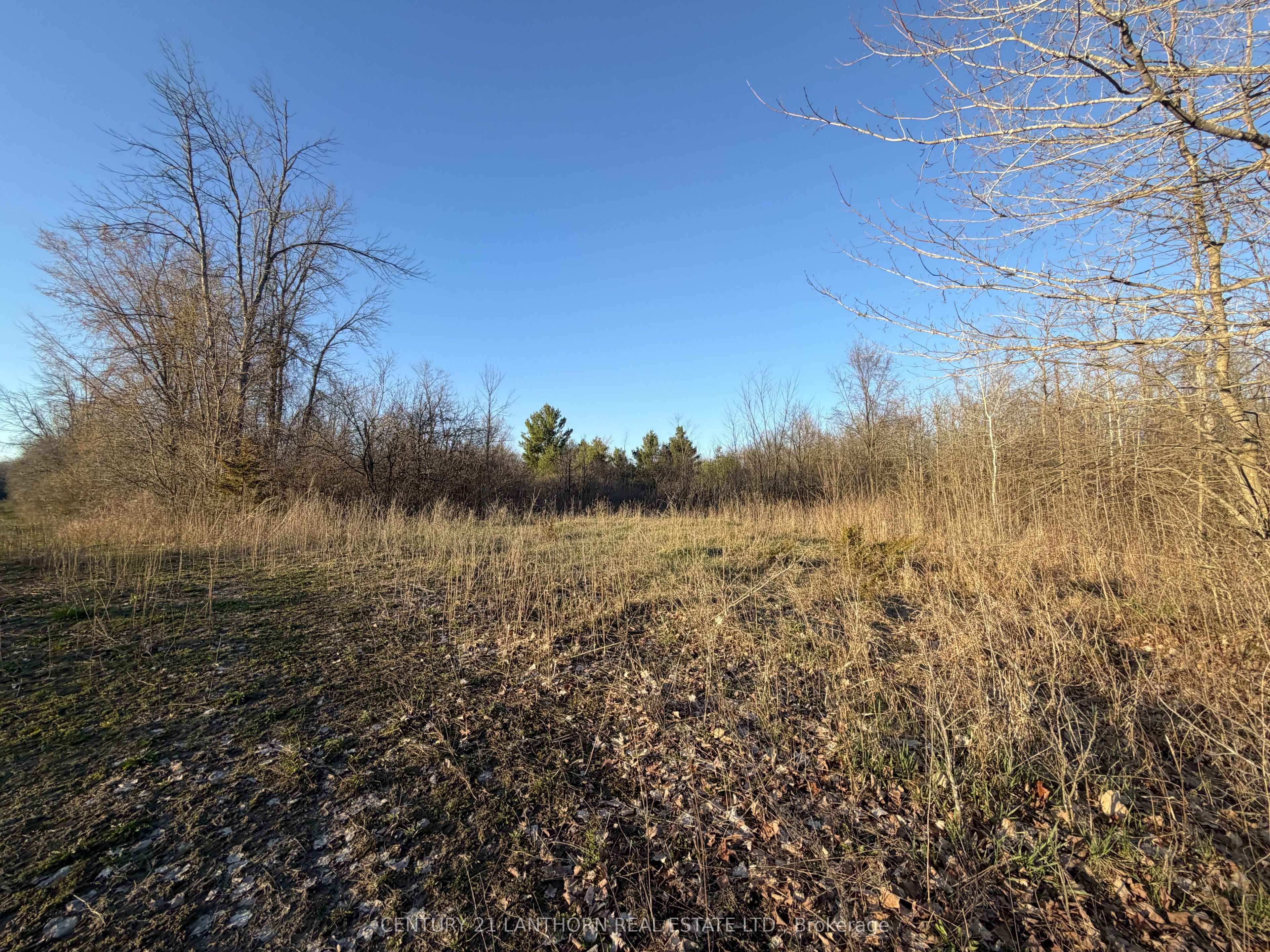 0 Reid Settlement Road Property Photo 6