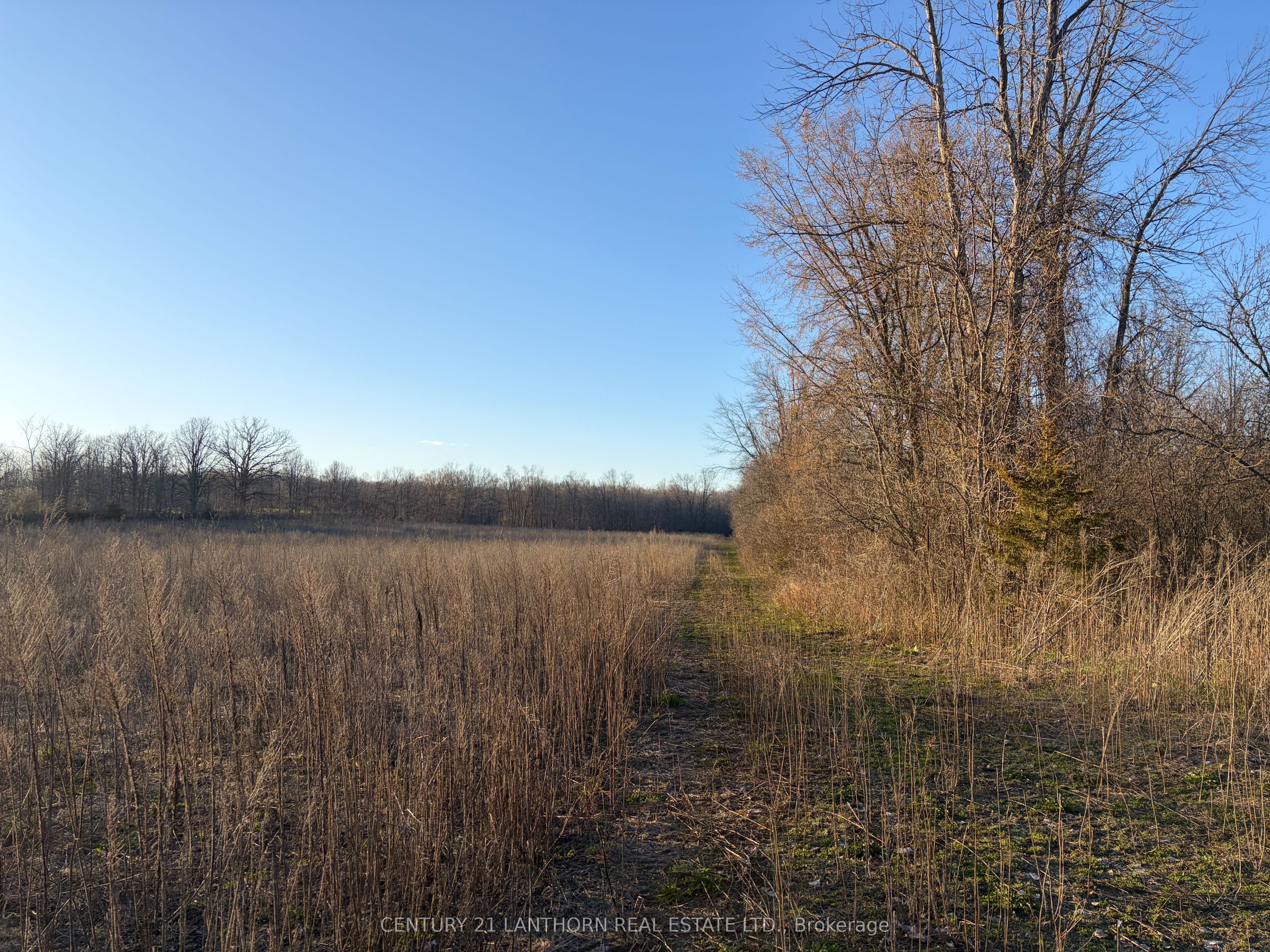 0 Reid Settlement Road Property Photo 7