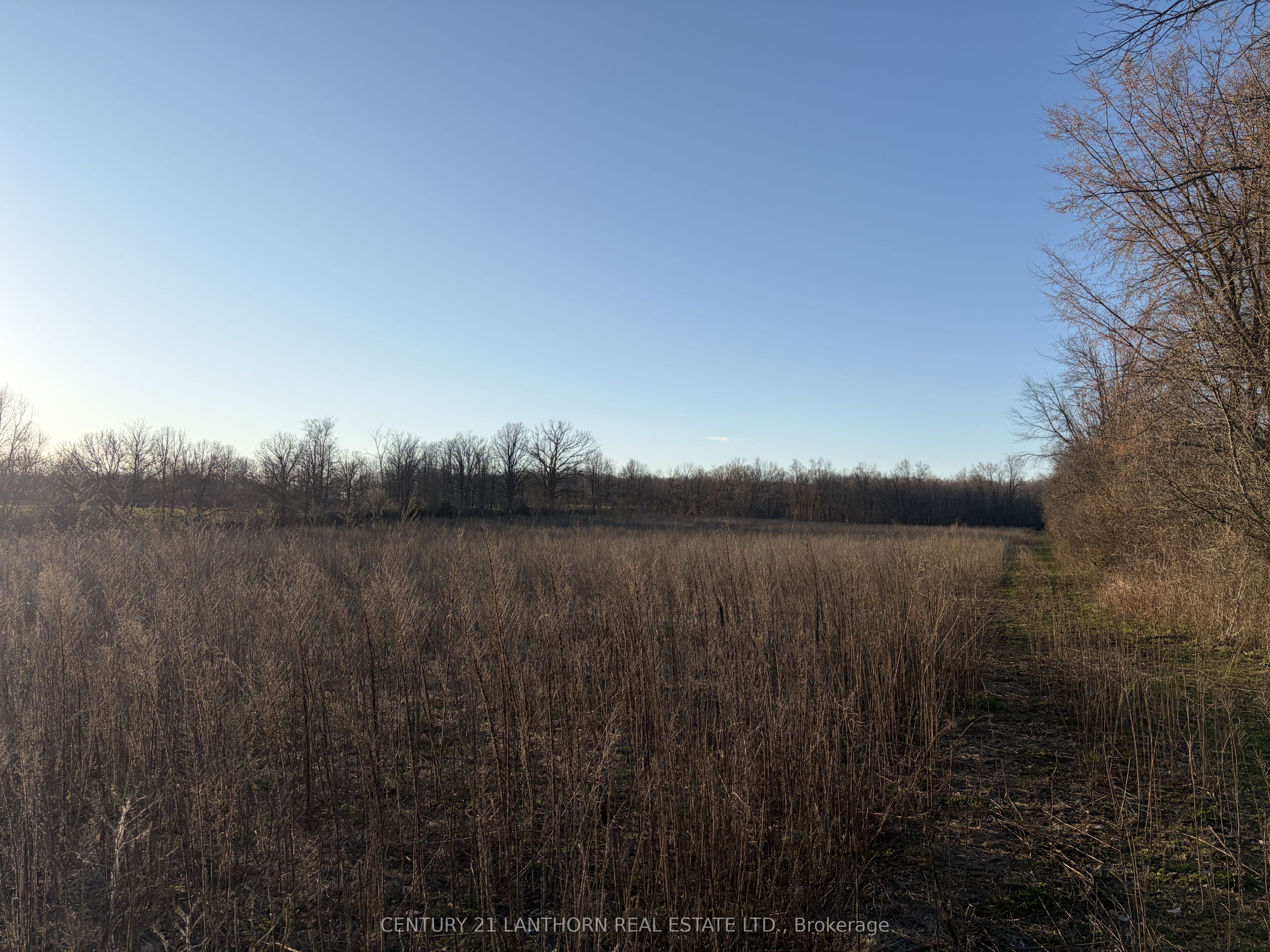 0 Reid Settlement Road Property Photo 8