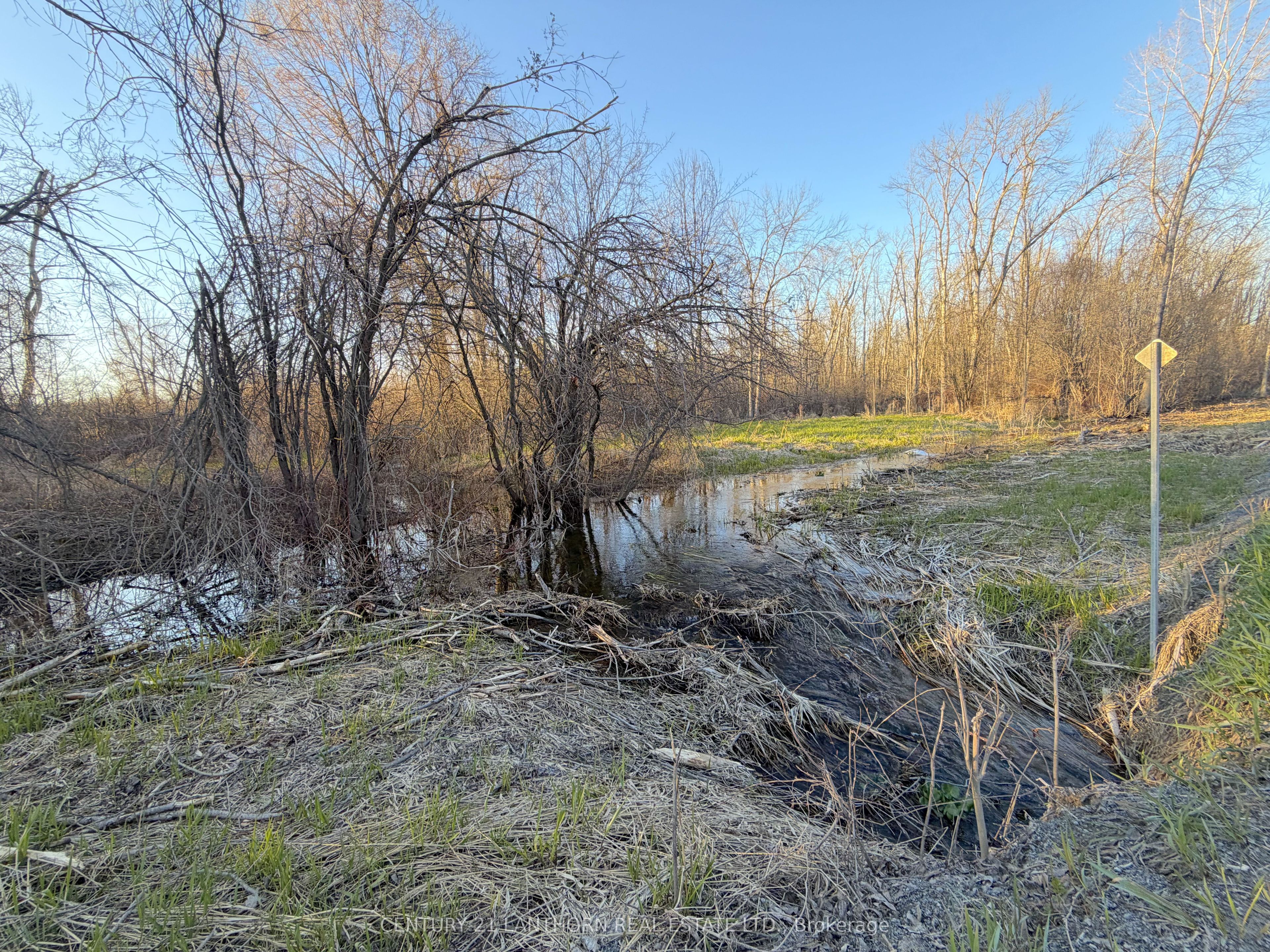 0 Reid Settlement Road Property Photo 10
