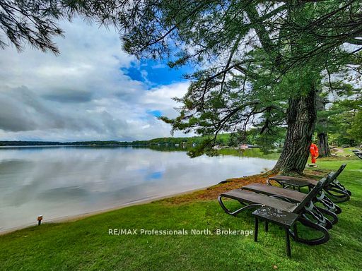 3876 Muskoka Road 118 Sandfield 2 Property Photo 5