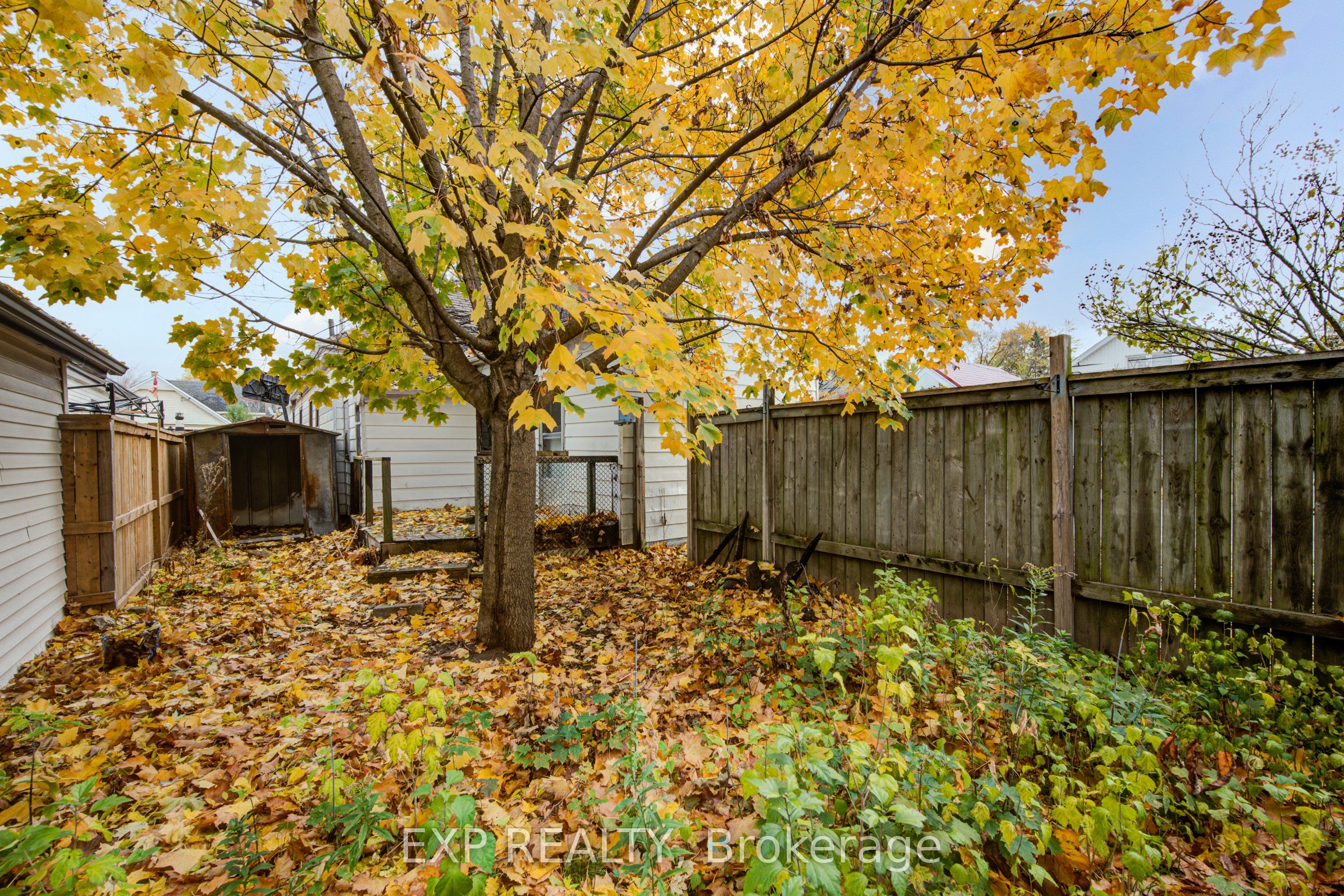 1 Rathgar Street Property Photo 38