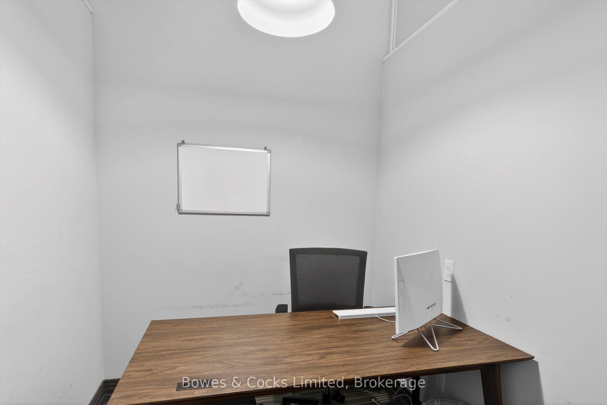 269 Charlotte Street Property Photo 16