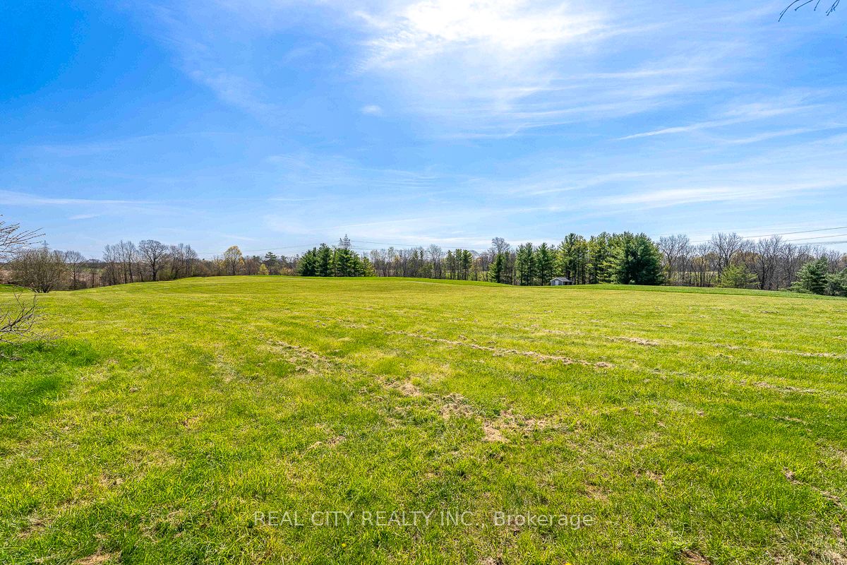 47 River Road Property Photo 18