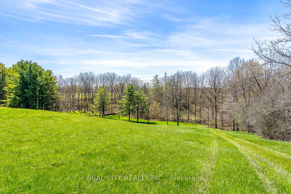 47 River Road Property Photo 22
