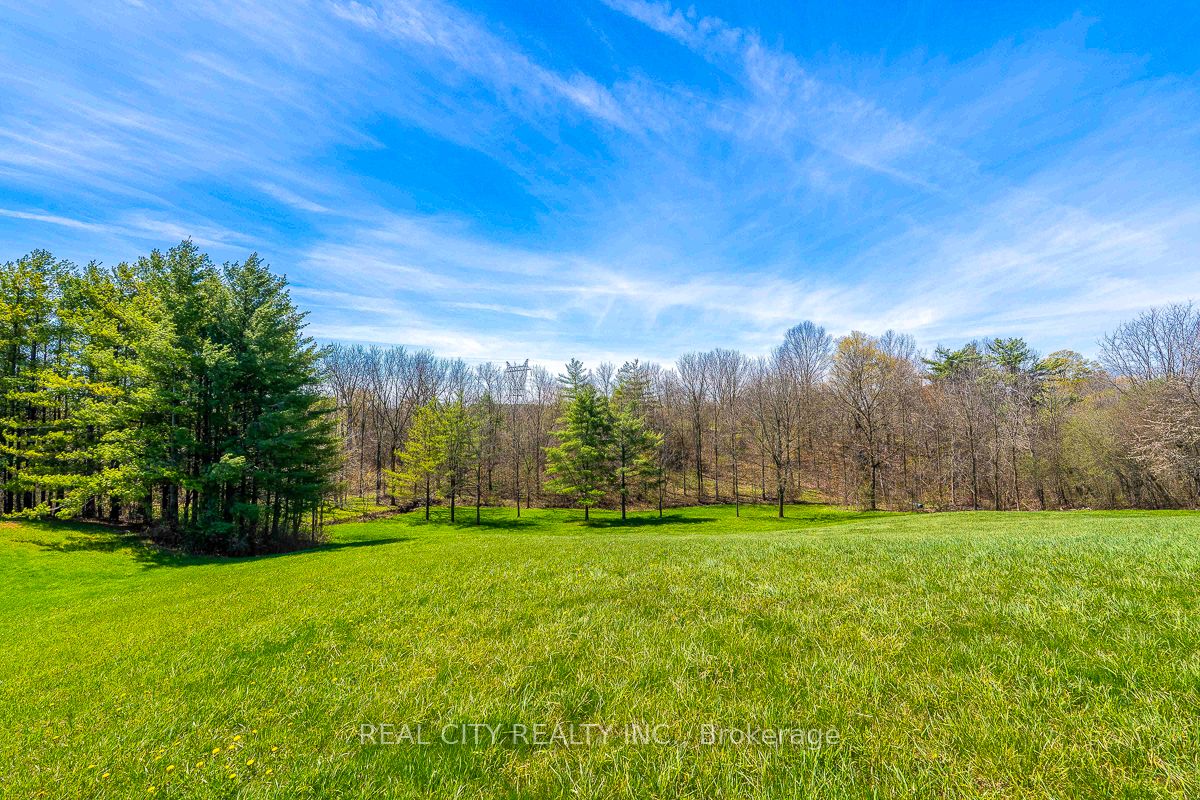 47 River Road Property Photo 24