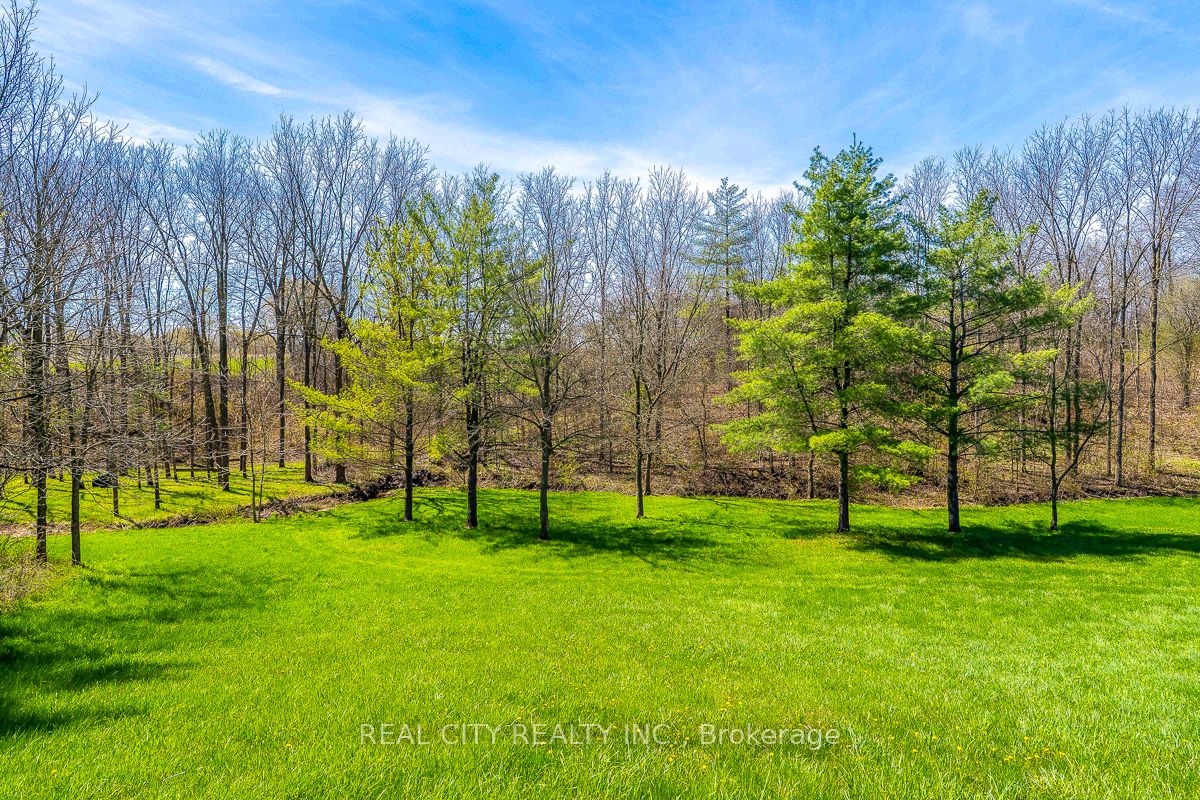 47 River Road Property Photo 26