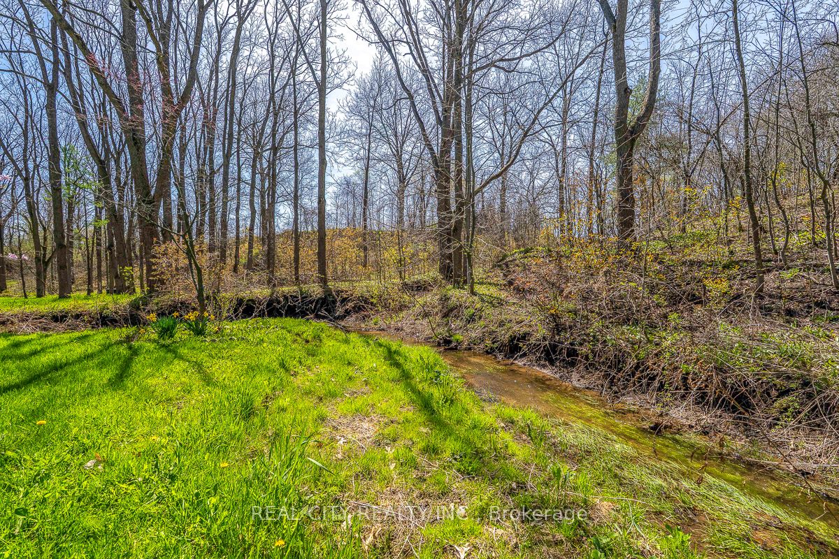 47 River Road Property Photo 30