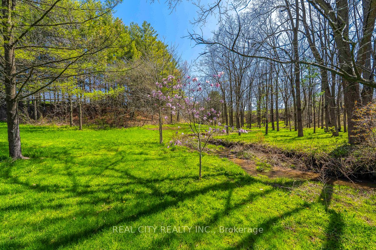 47 River Road Property Photo 35