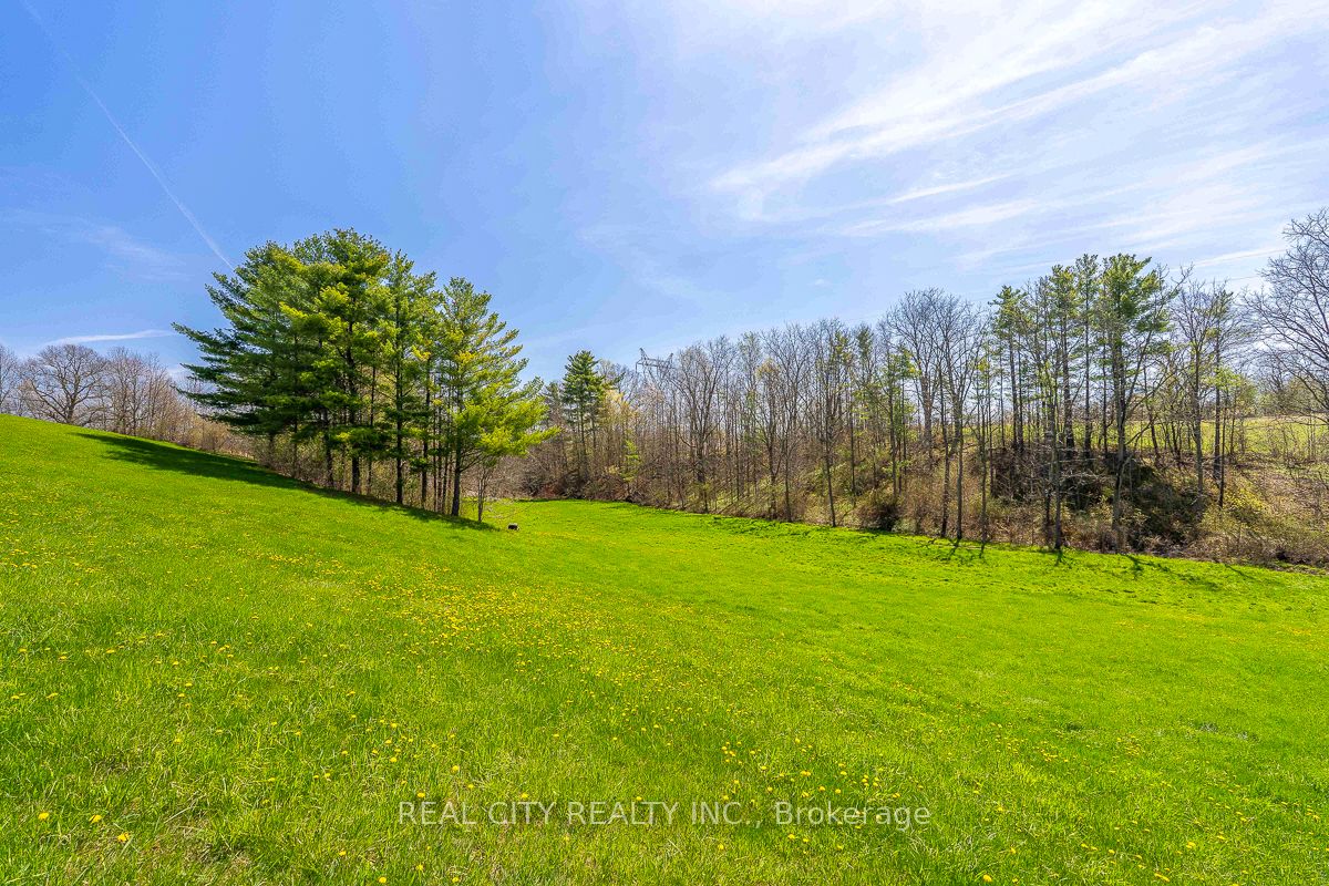 47 River Road Property Photo 42