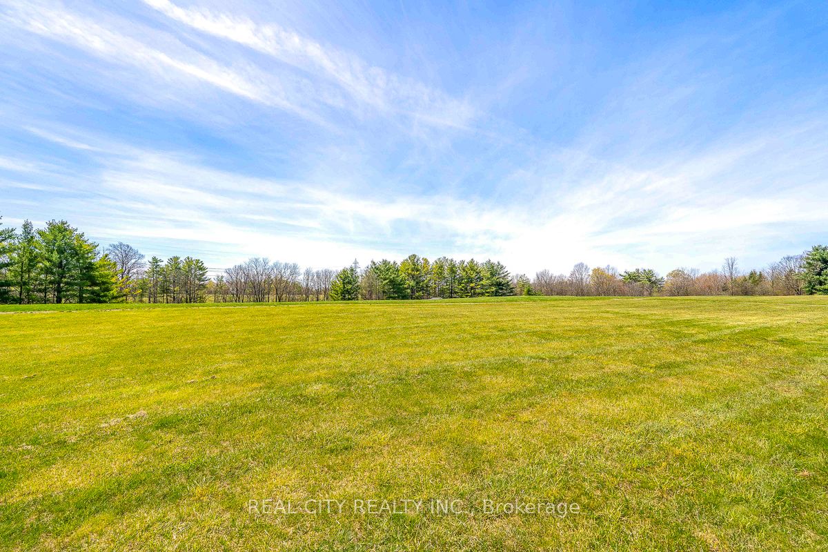 47 River Road Property Photo 50