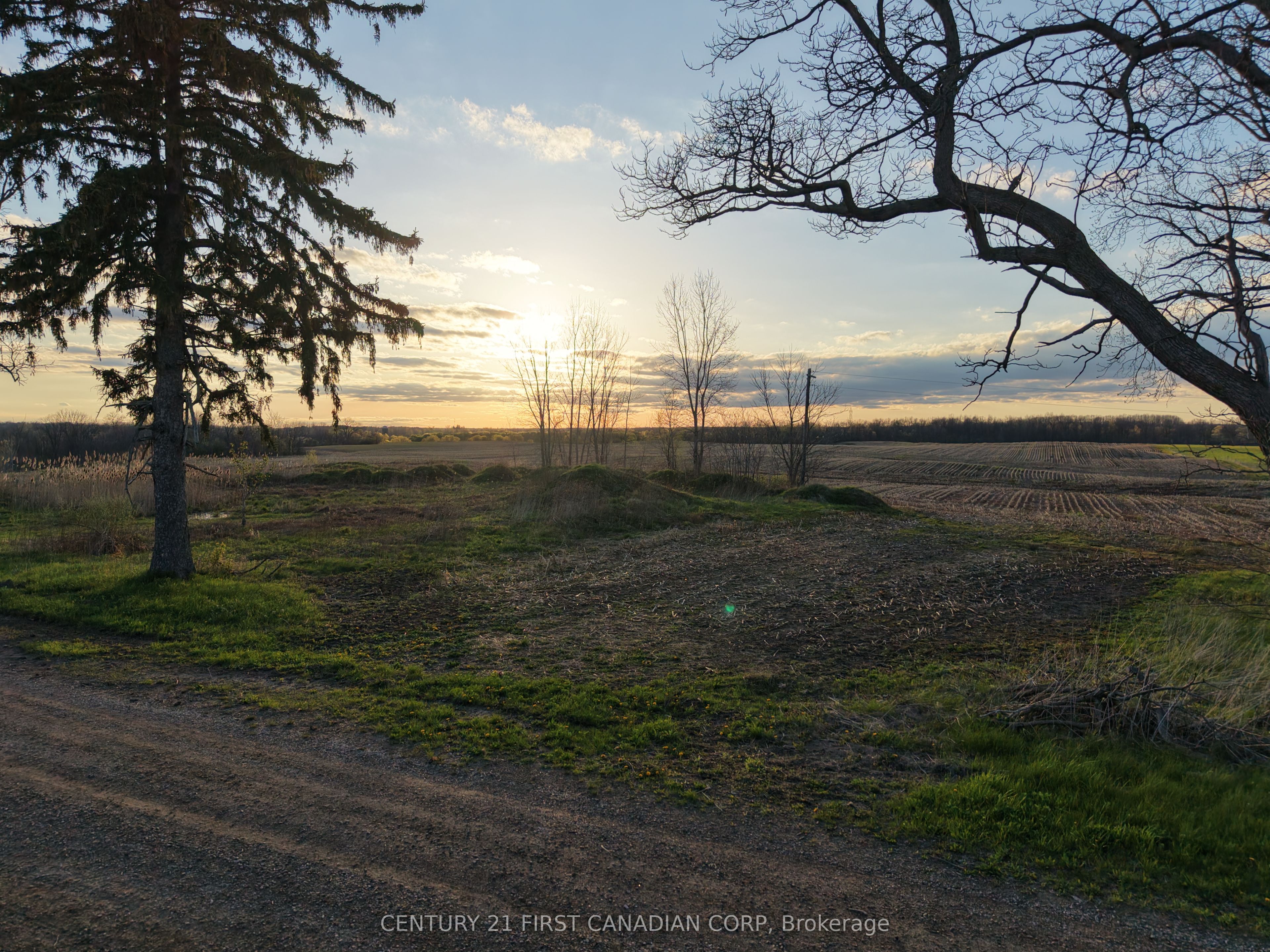 24688 Carroll Line Property Photo 5