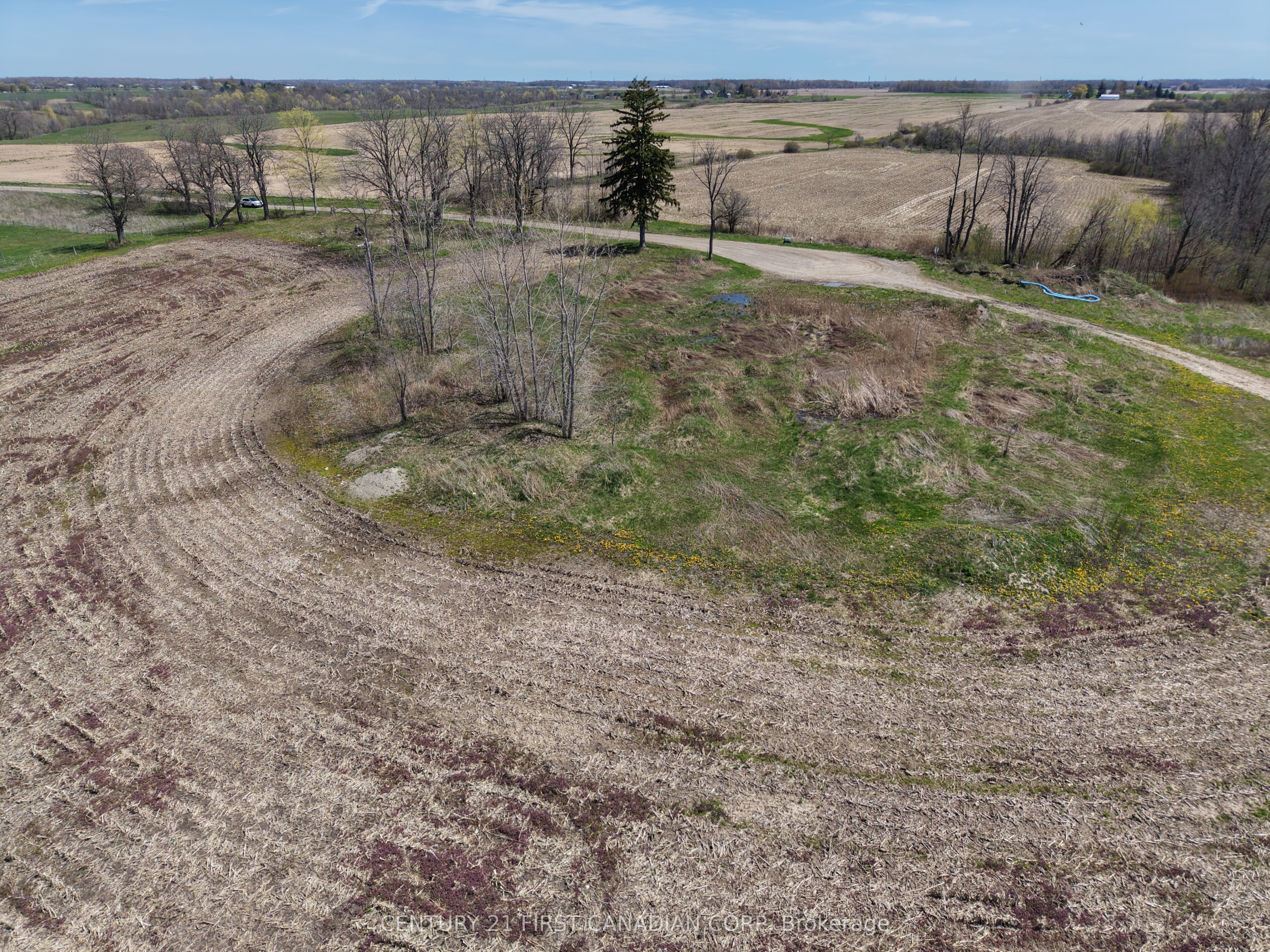24688 Carroll Line Property Photo 6