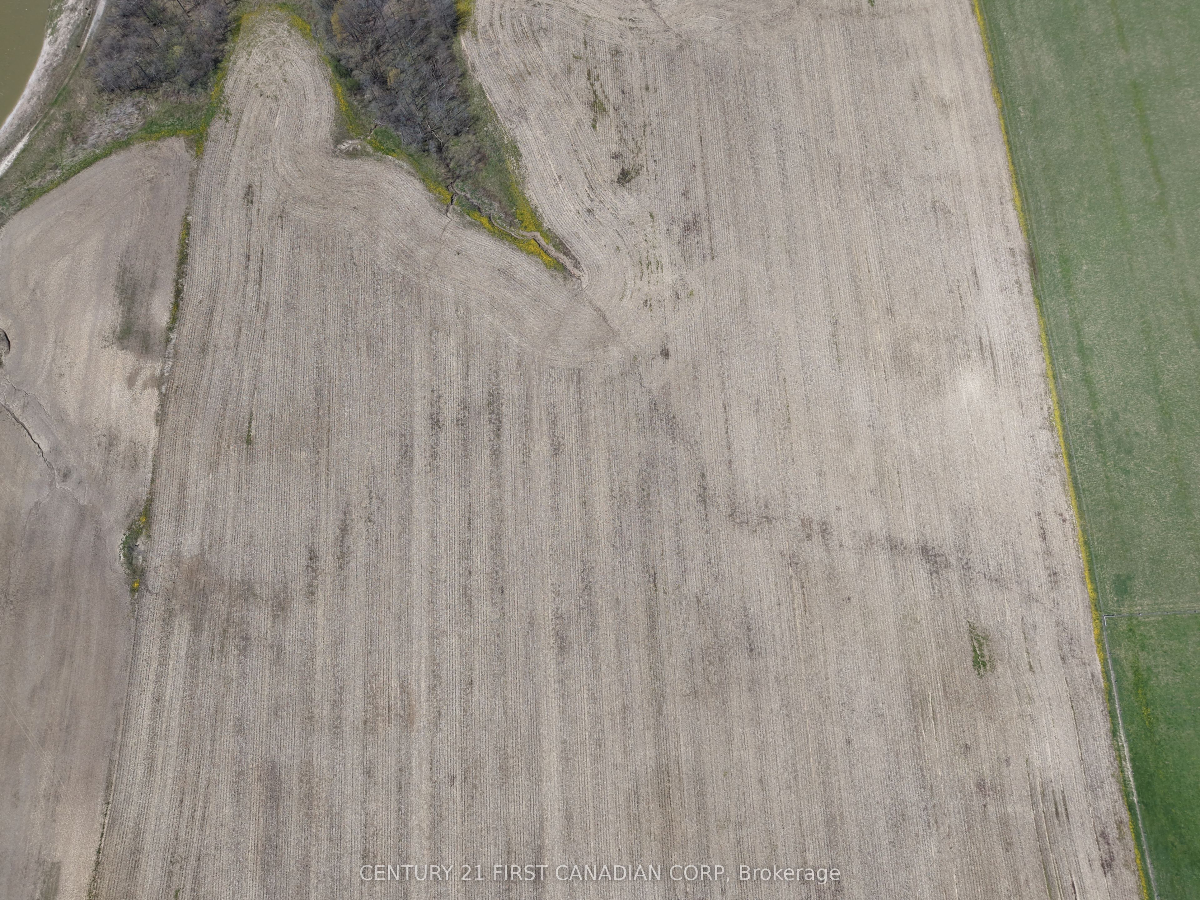 24688 Carroll Line Property Photo 15