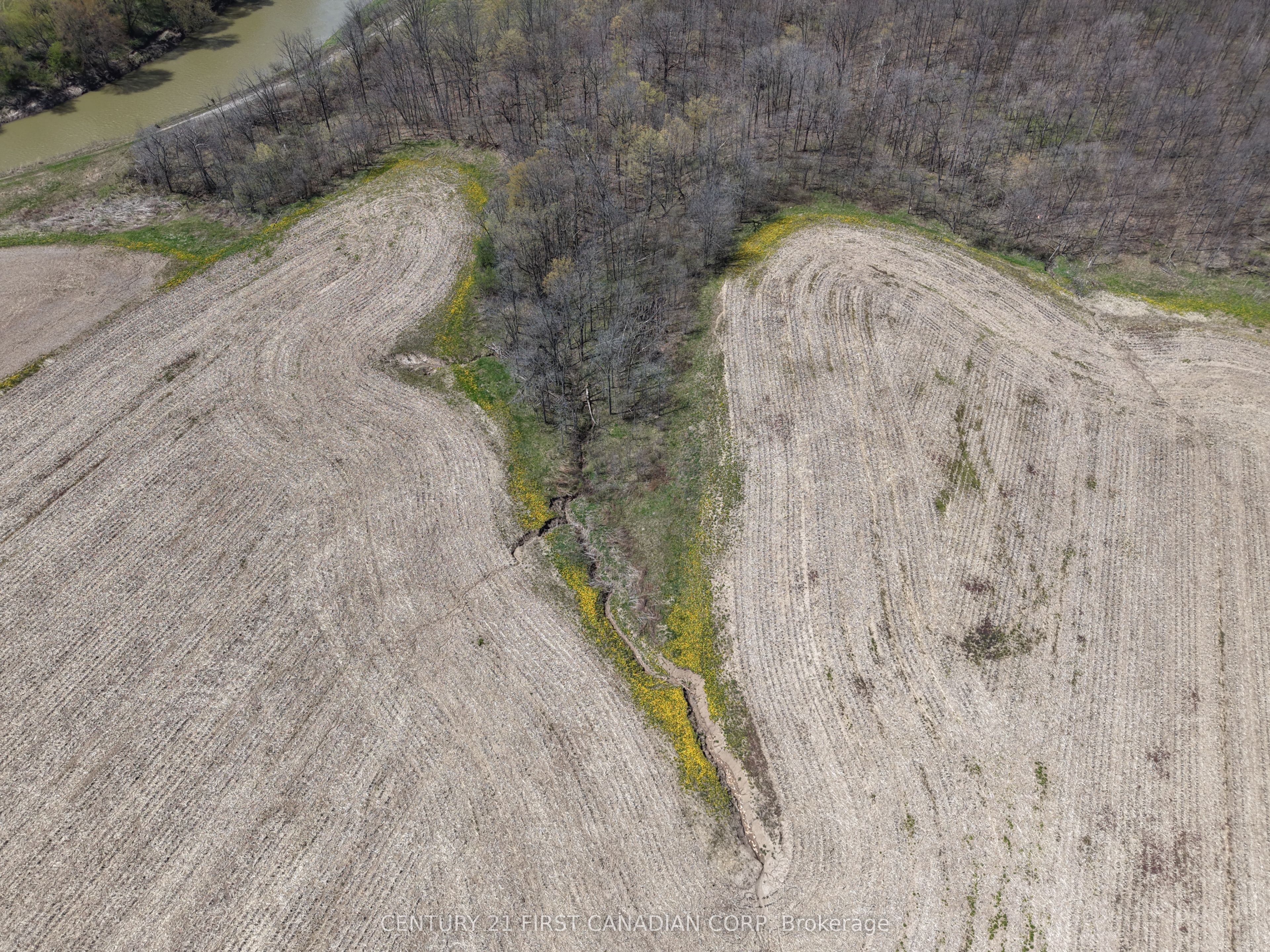 24688 Carroll Line Property Photo 17