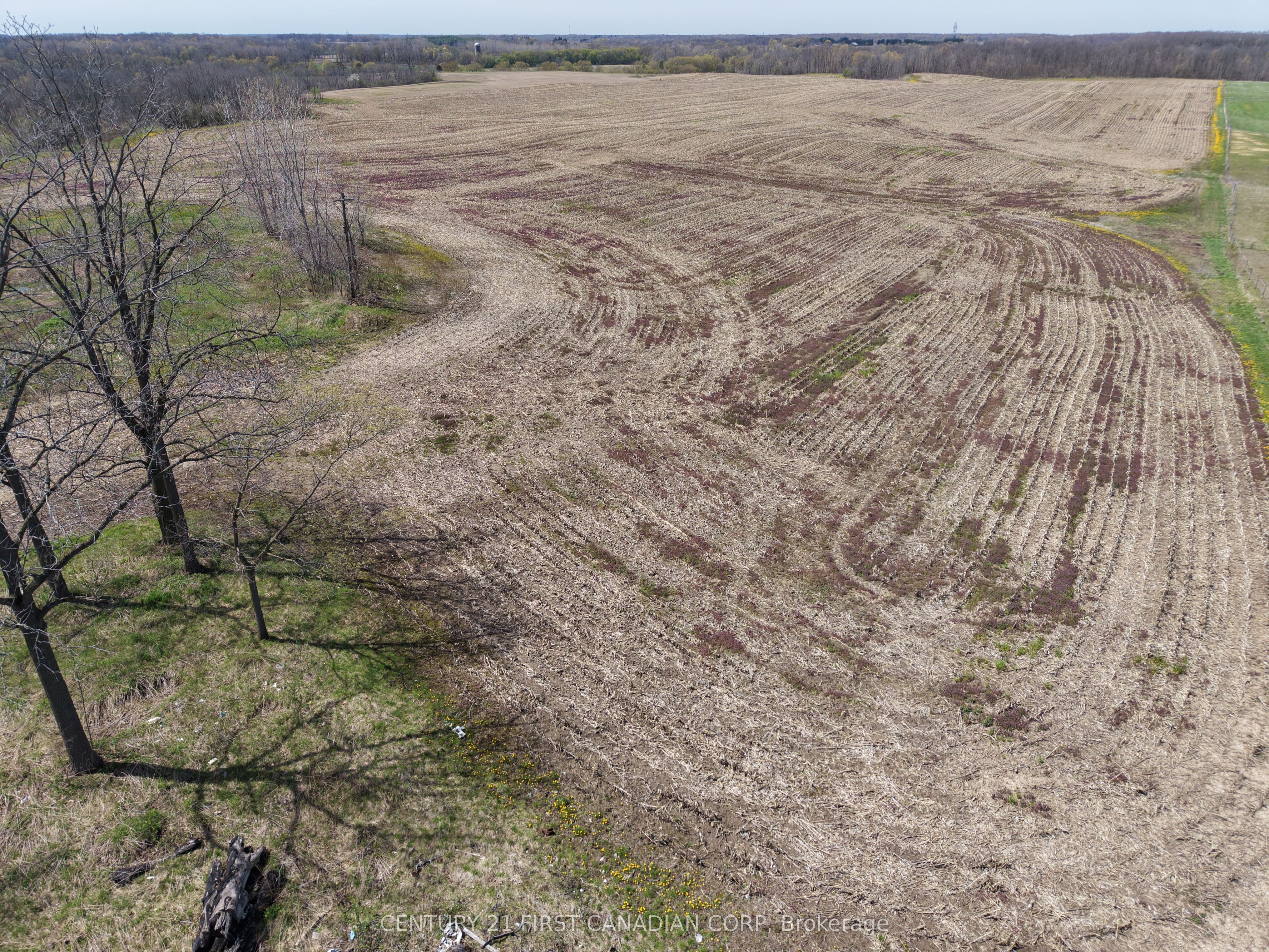 24688 Carroll Line Property Photo 18