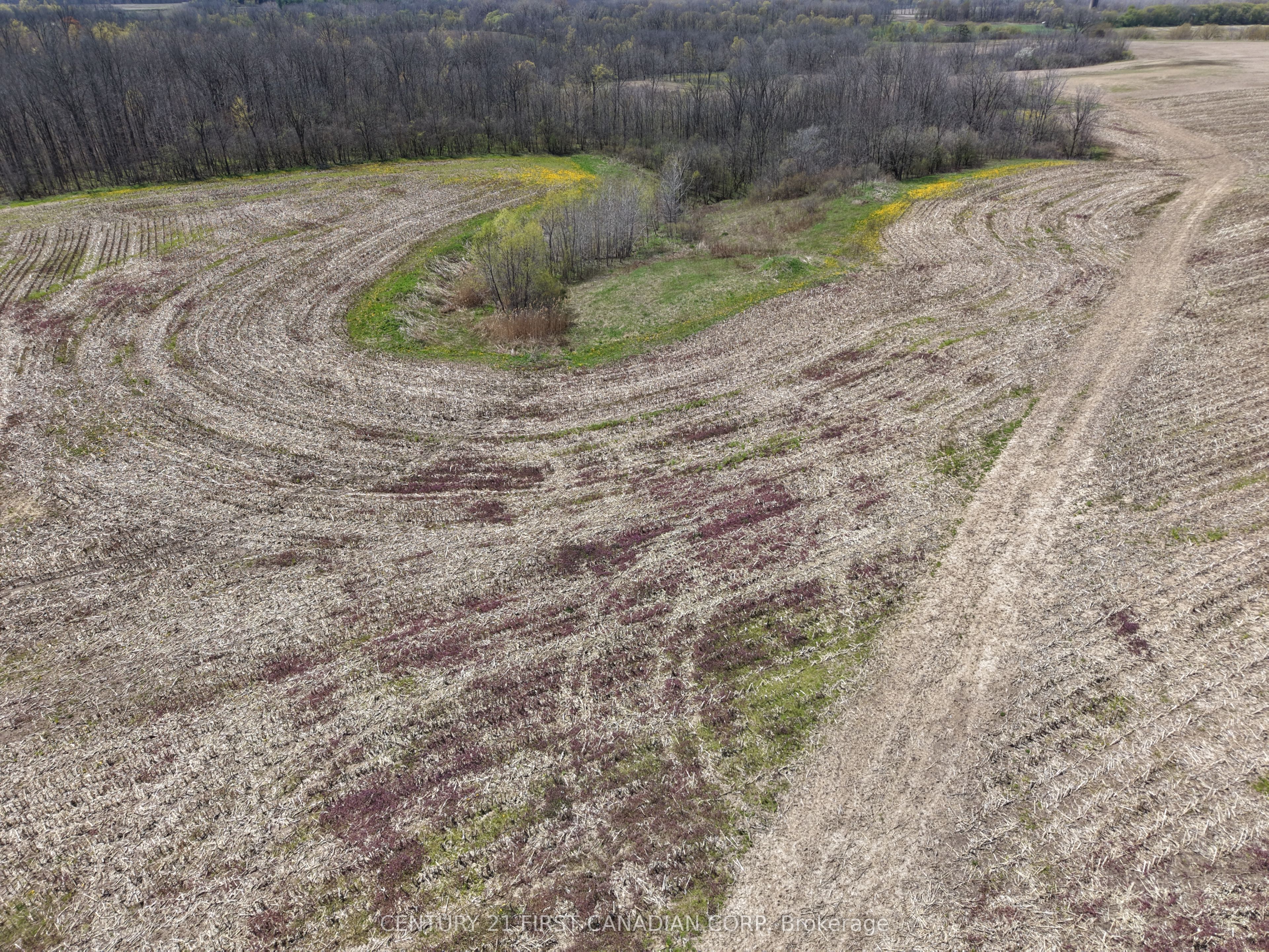 24688 Carroll Line Property Photo 19