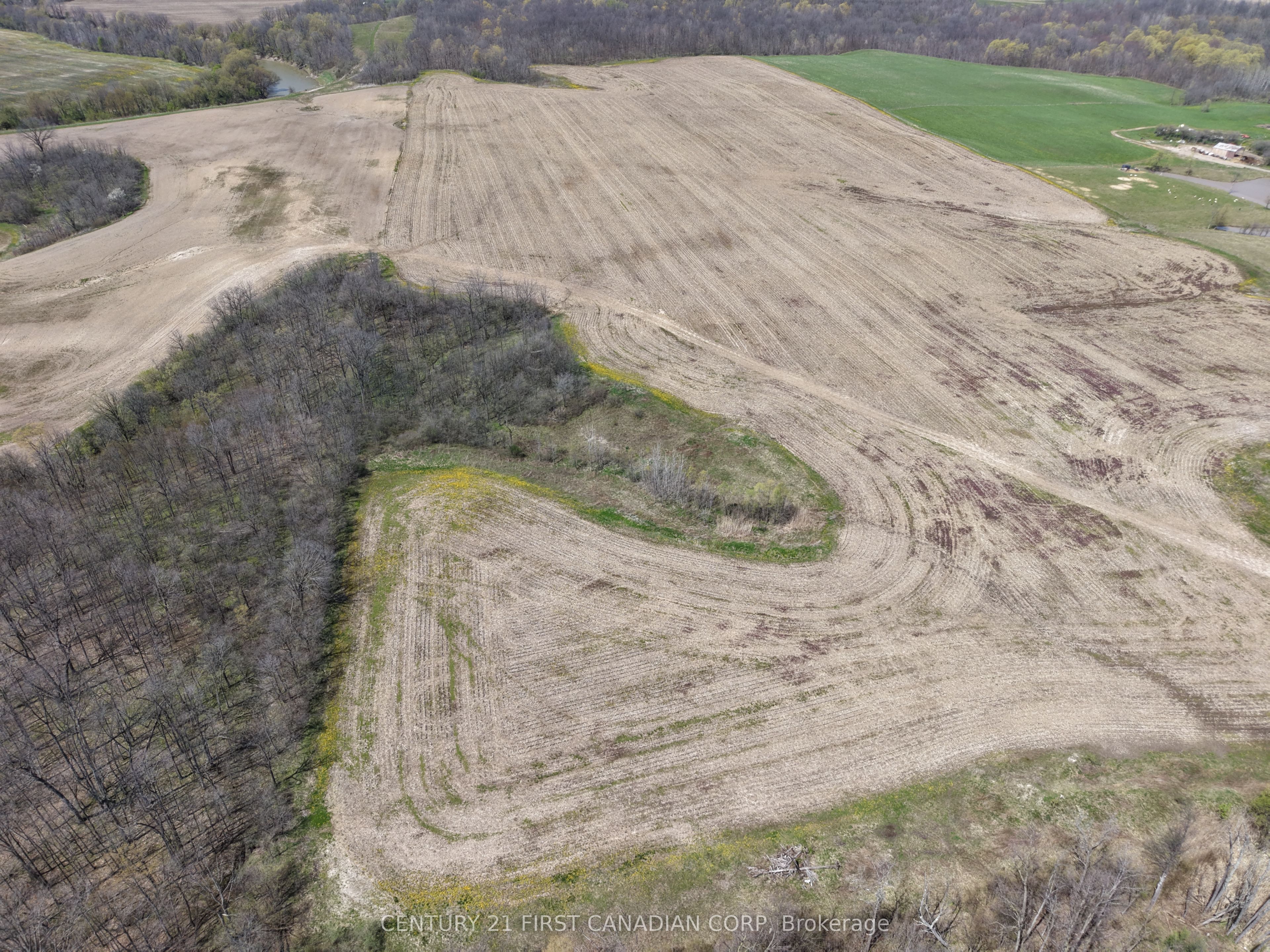24688 Carroll Line Property Photo 21