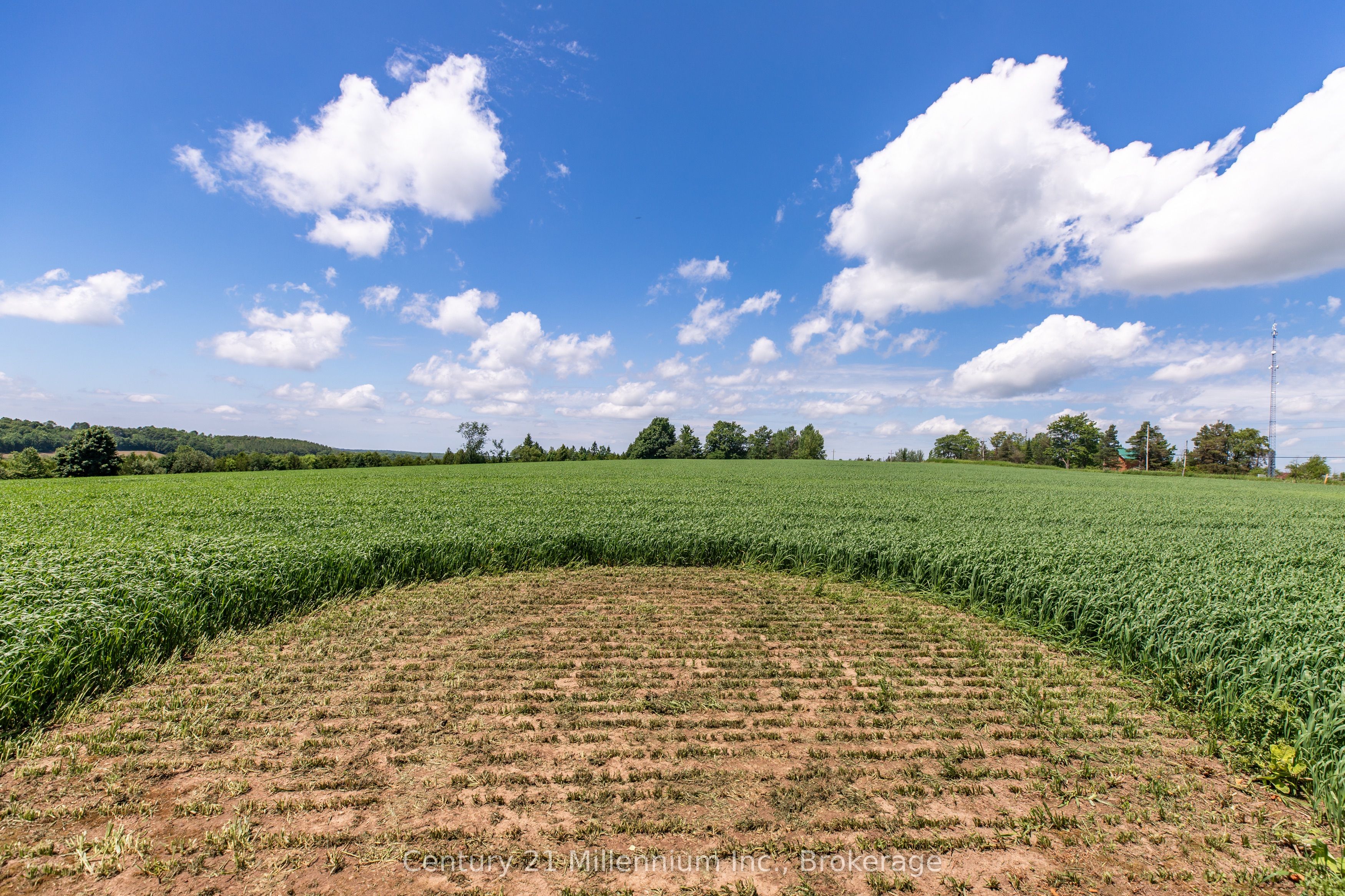 775678 Highway 10 Property Photo 11